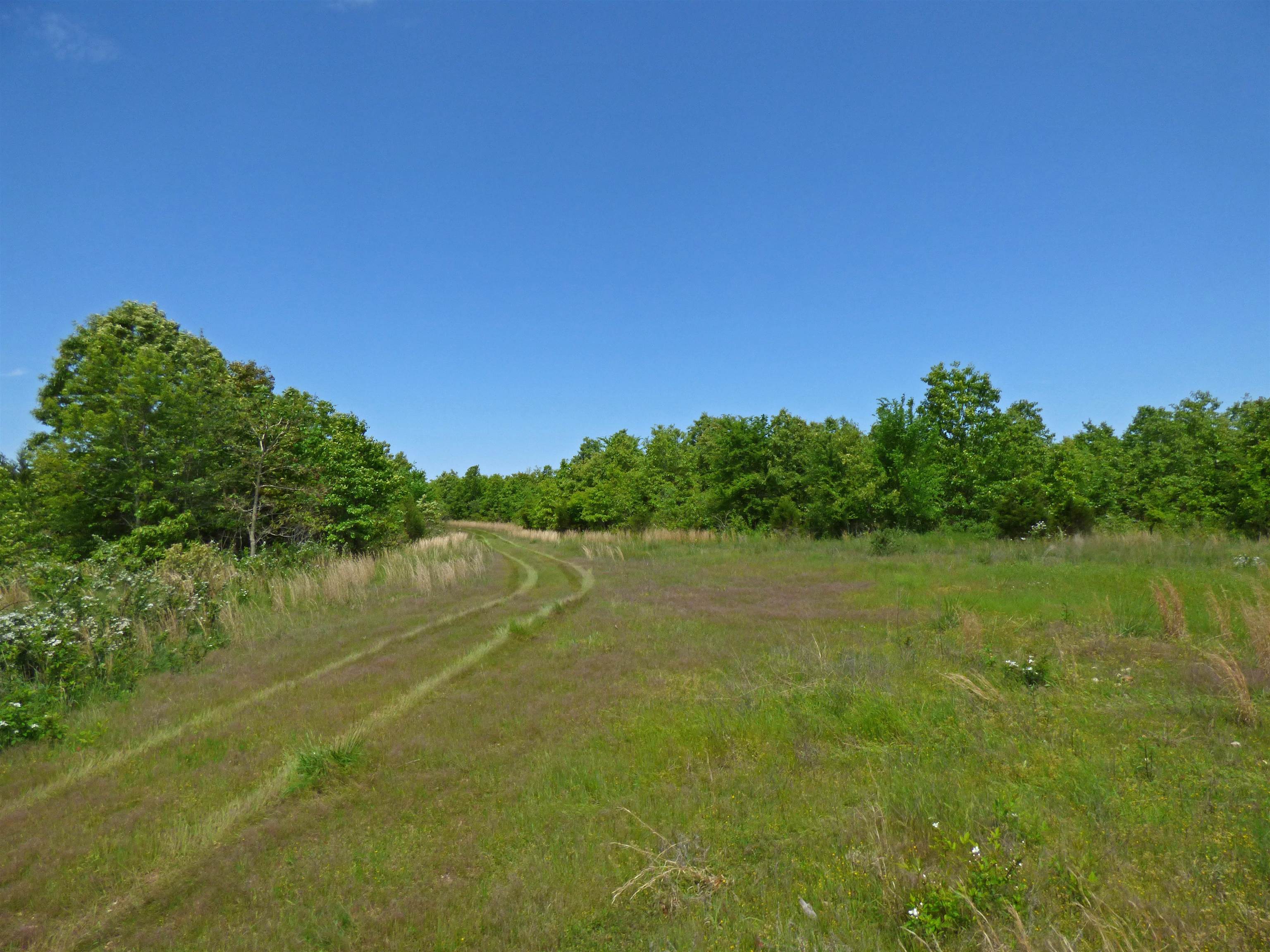 Herron Road Property Photo 9