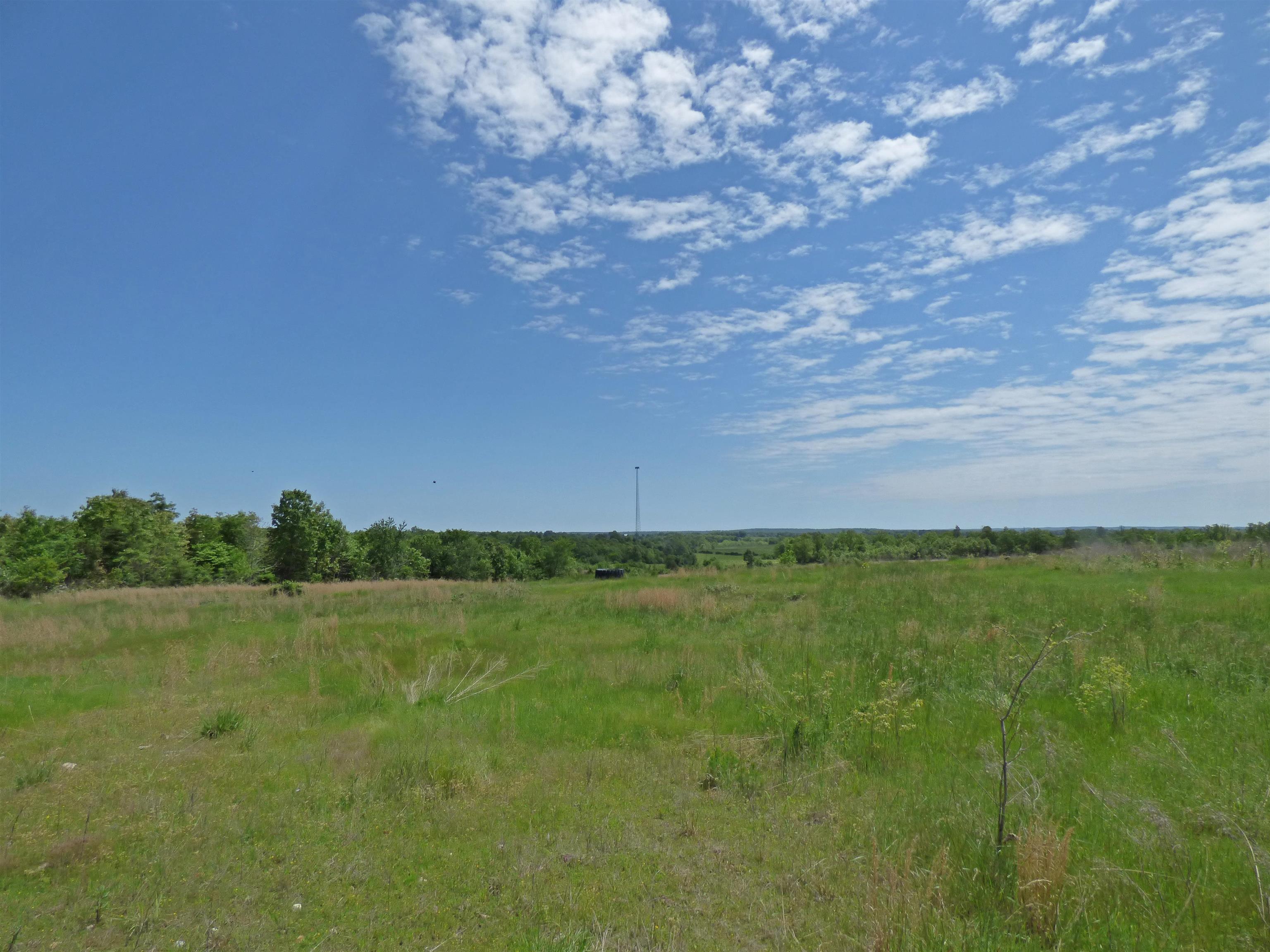 Herron Road Property Photo 10