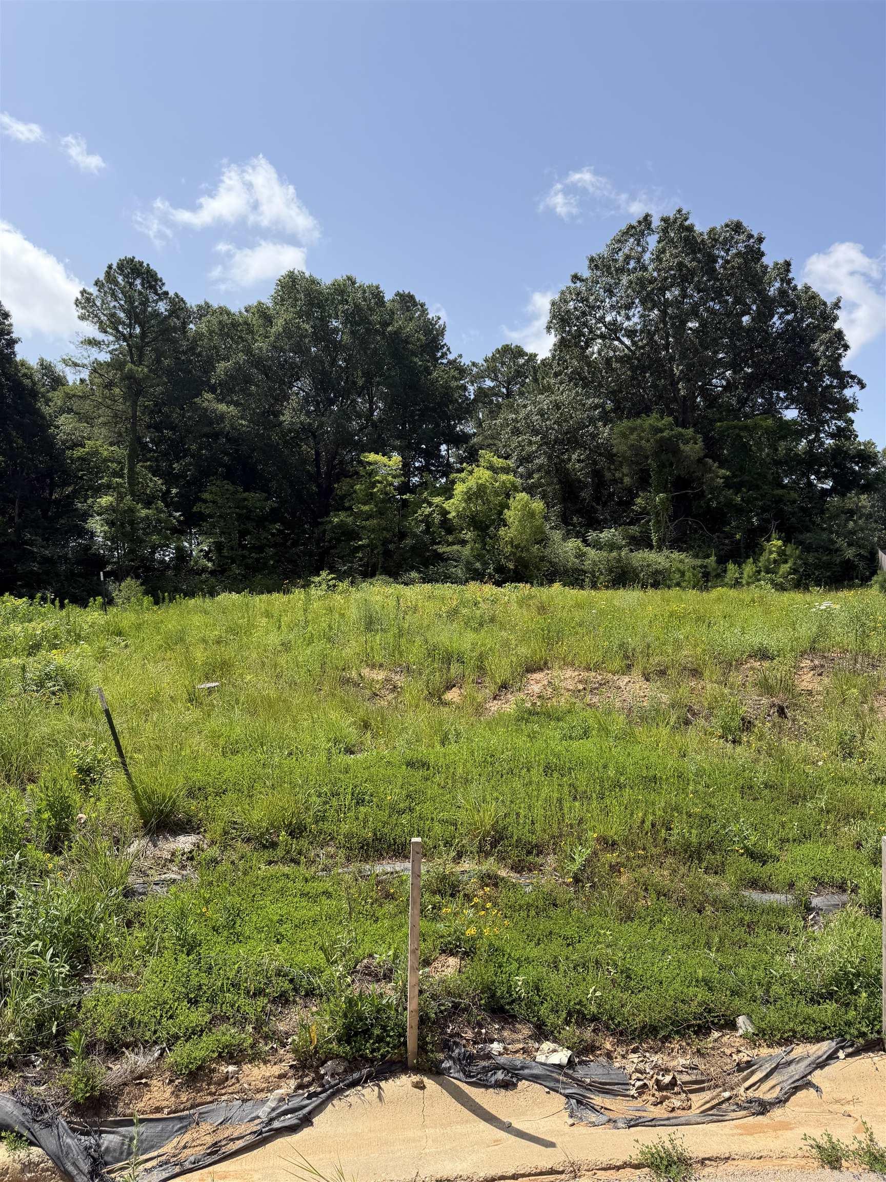 4316 Stoke Dr Property Photo 1