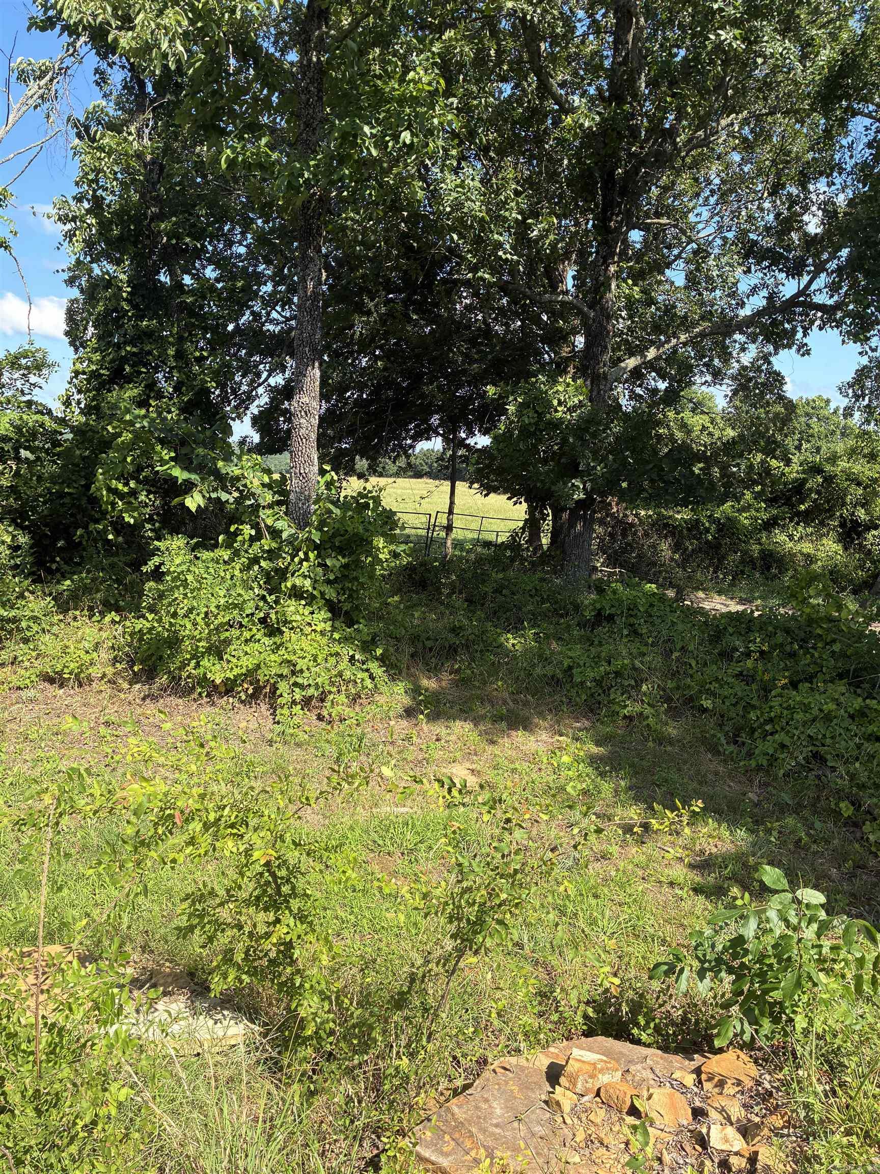 11099 Hwy 14 Property Photo 14