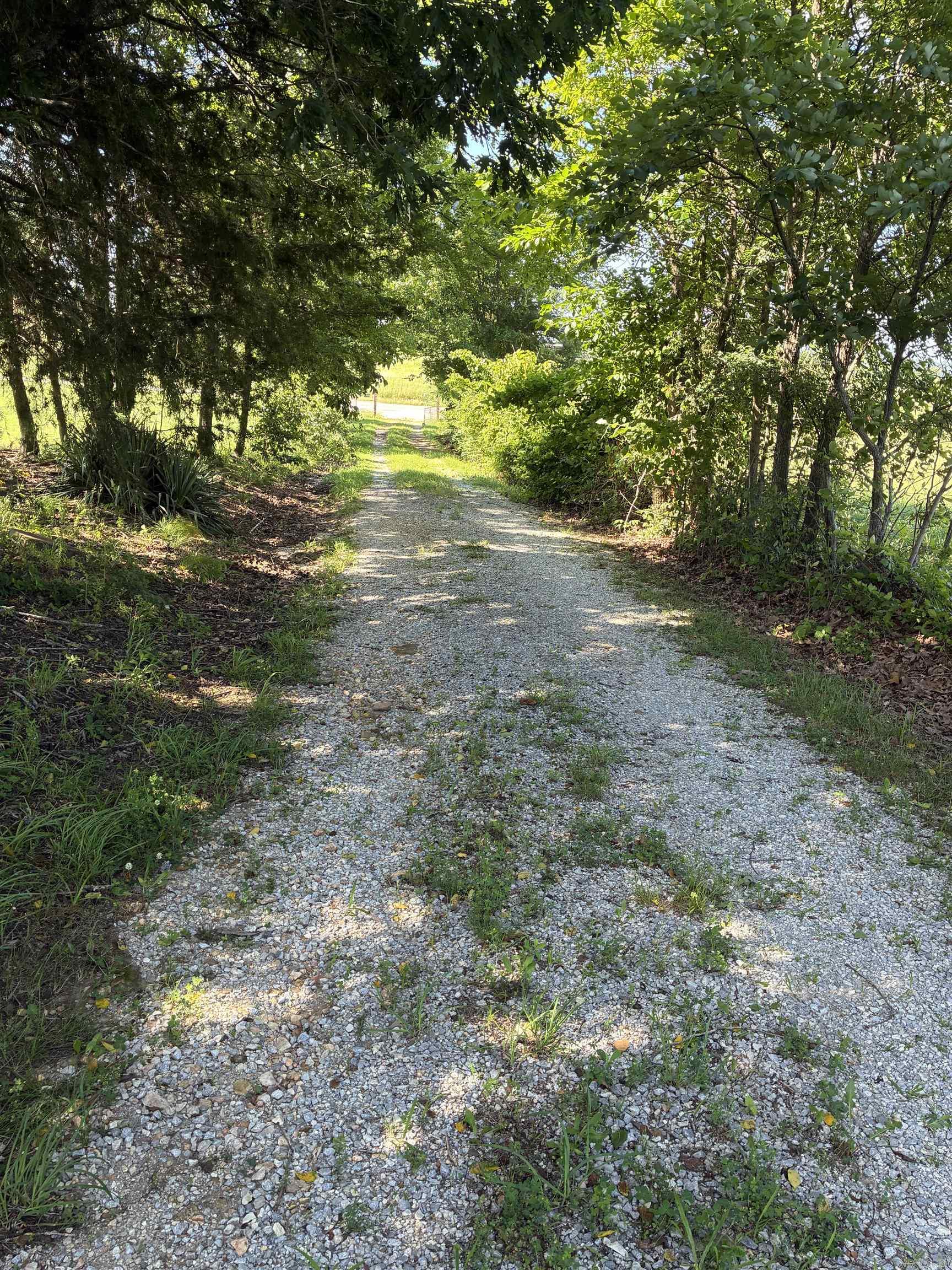 11099 Hwy 14 Property Photo 18