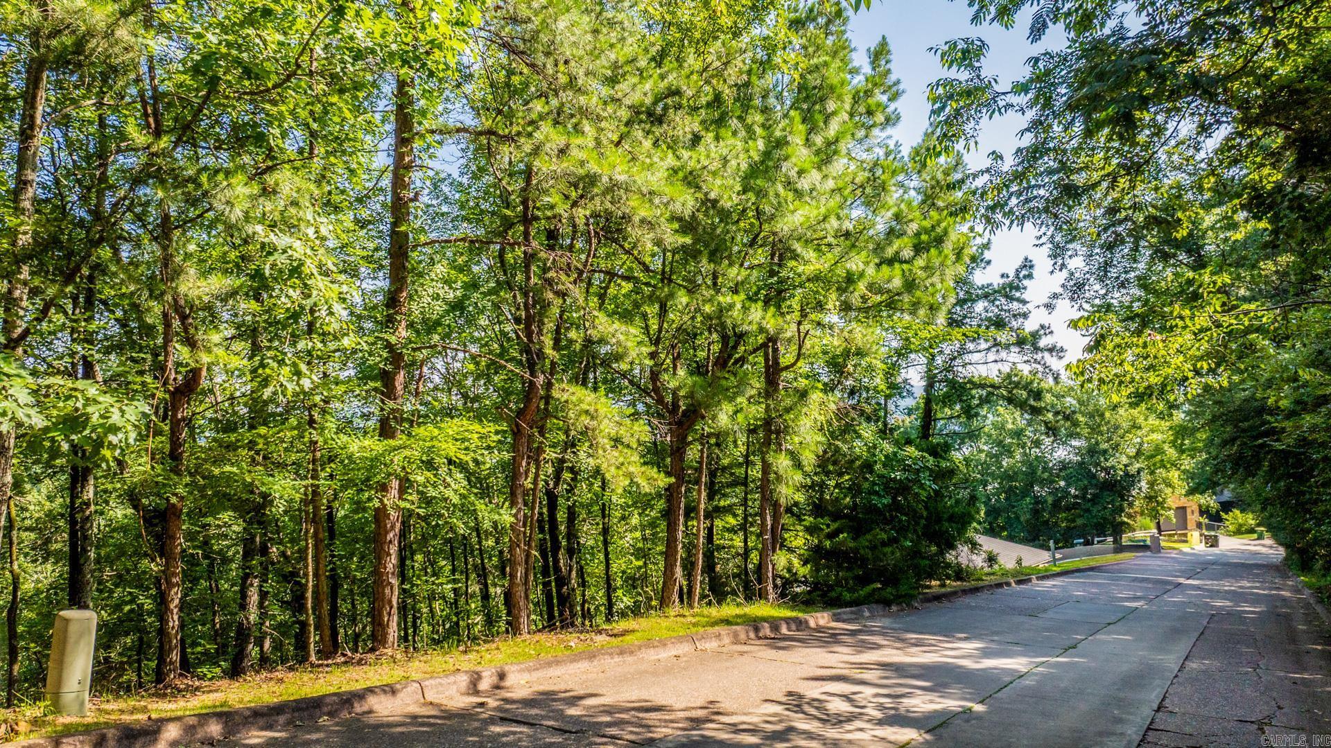 Lot 17 River Ridge Pt. Property Photo 2
