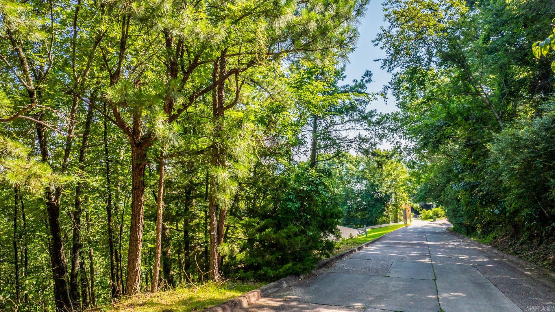 Lot 17 River Ridge Pt. Property Photo 3
