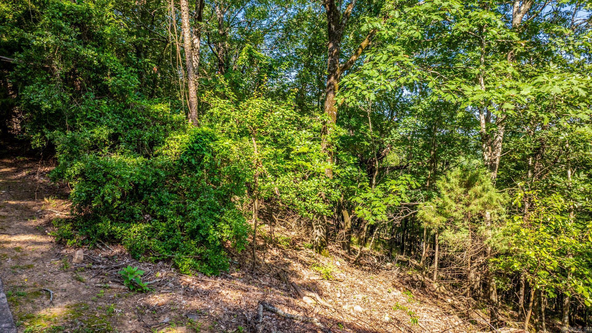Lot 17 River Ridge Pt. Property Photo 12