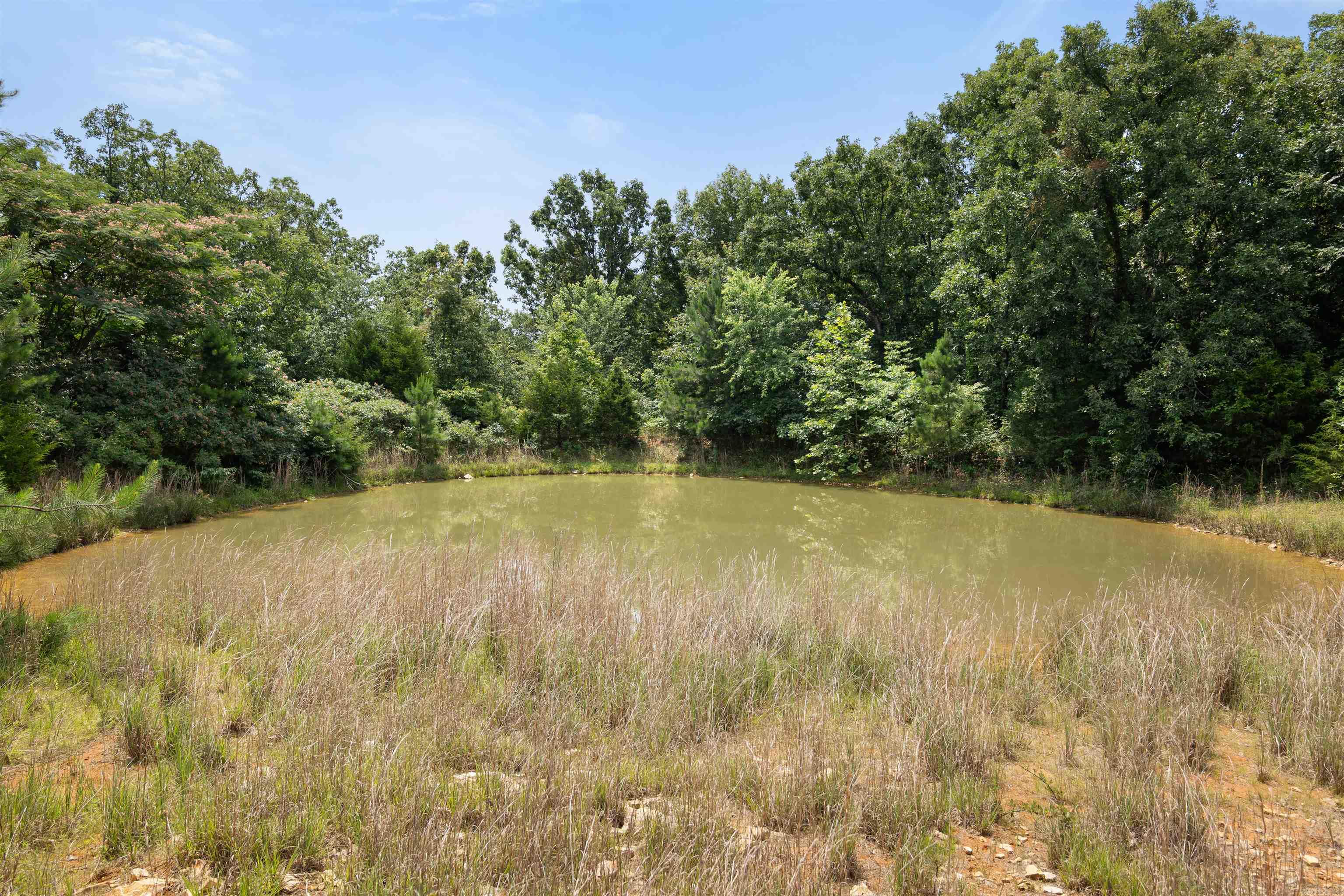 6754 Oak Ridge Road Property Photo 9