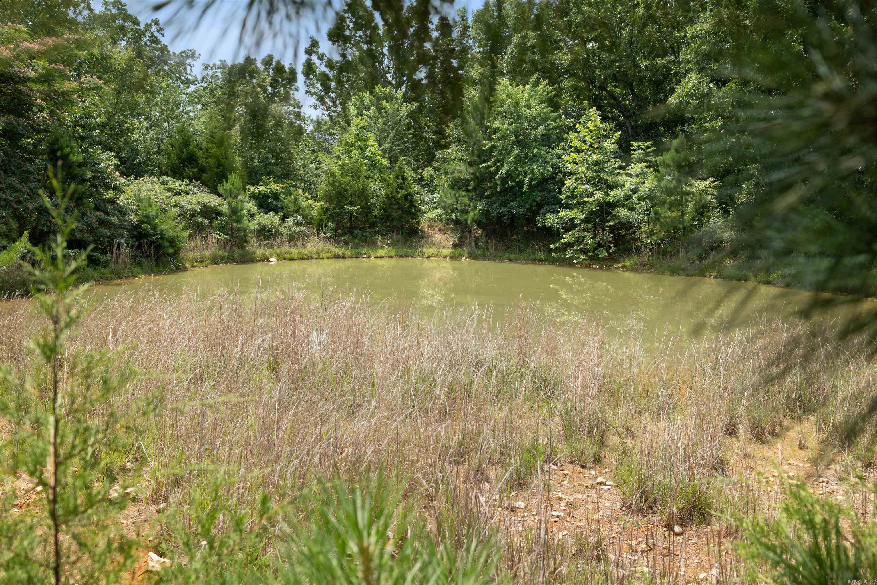 6754 Oak Ridge Road Property Photo 34
