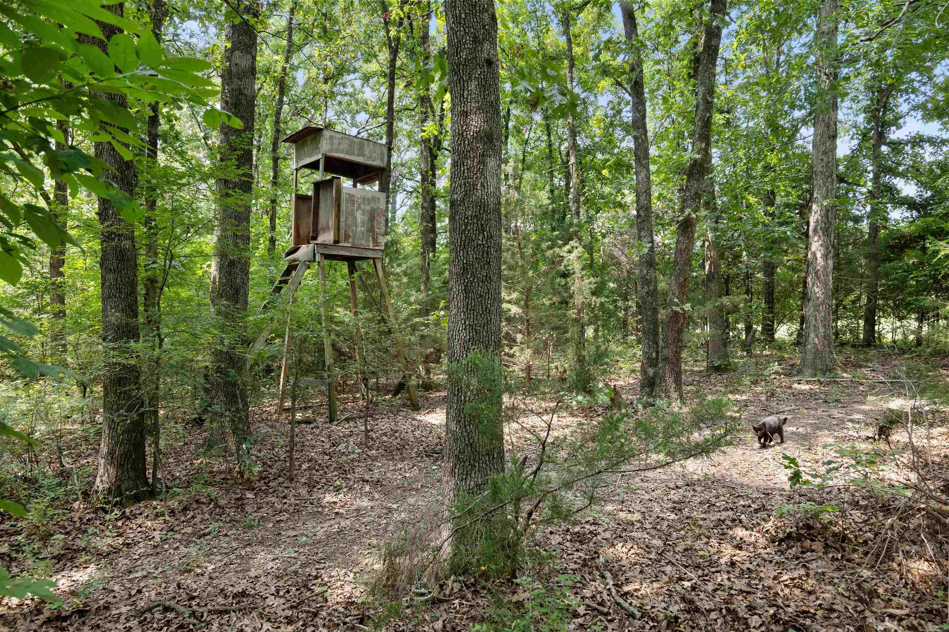 6754 Oak Ridge Road Property Photo 35