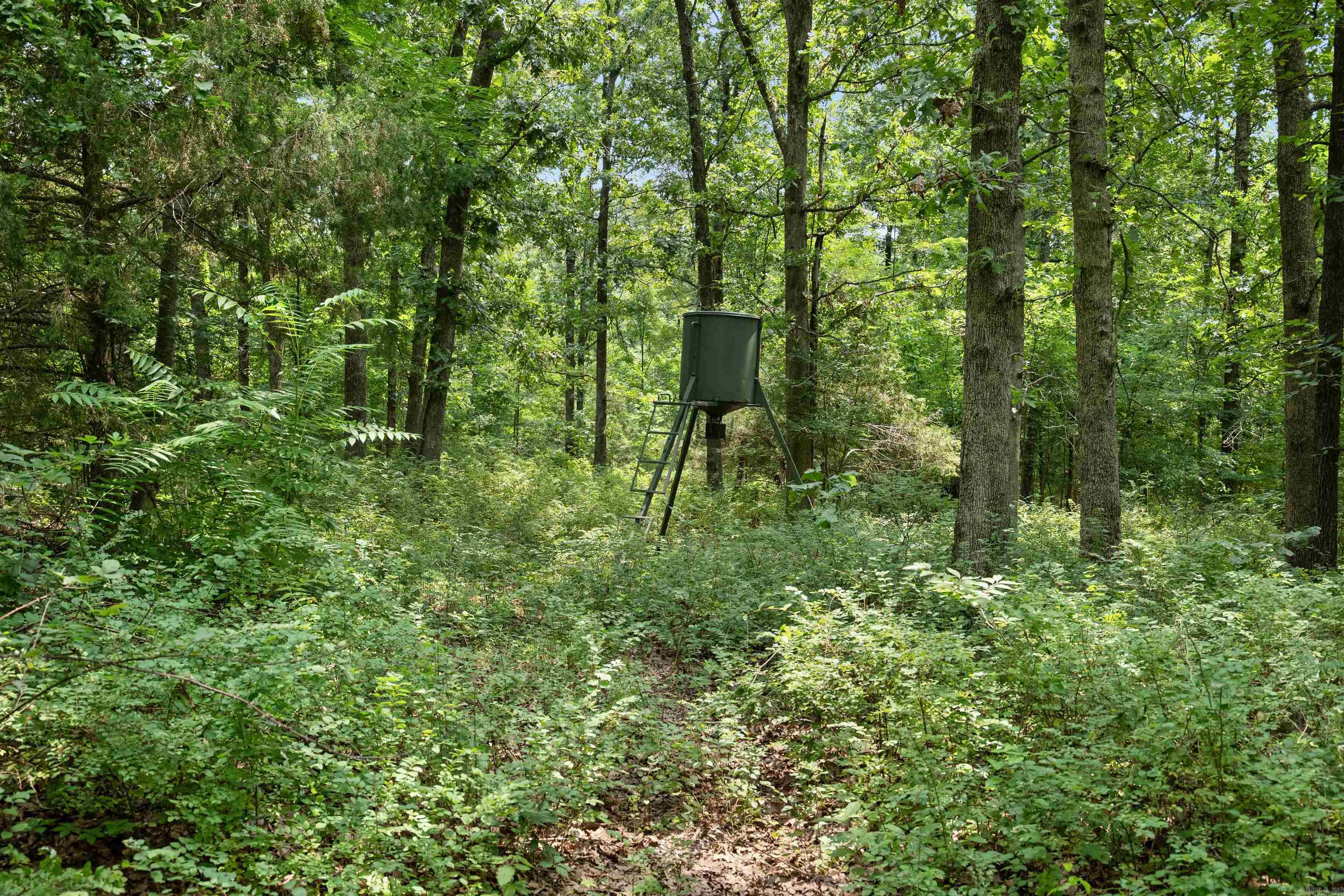 6754 Oak Ridge Road Property Photo 36