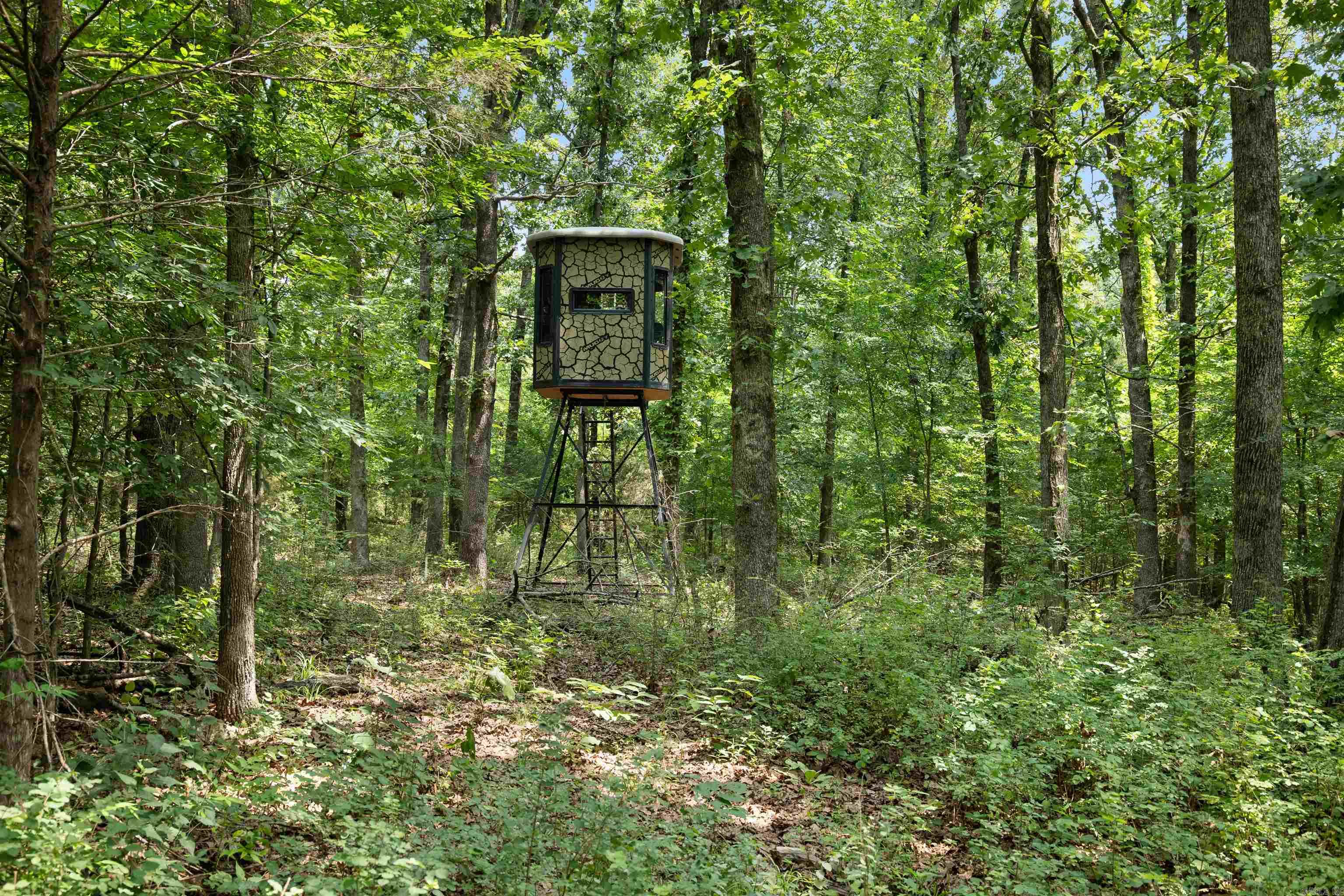 6754 Oak Ridge Road Property Photo 38