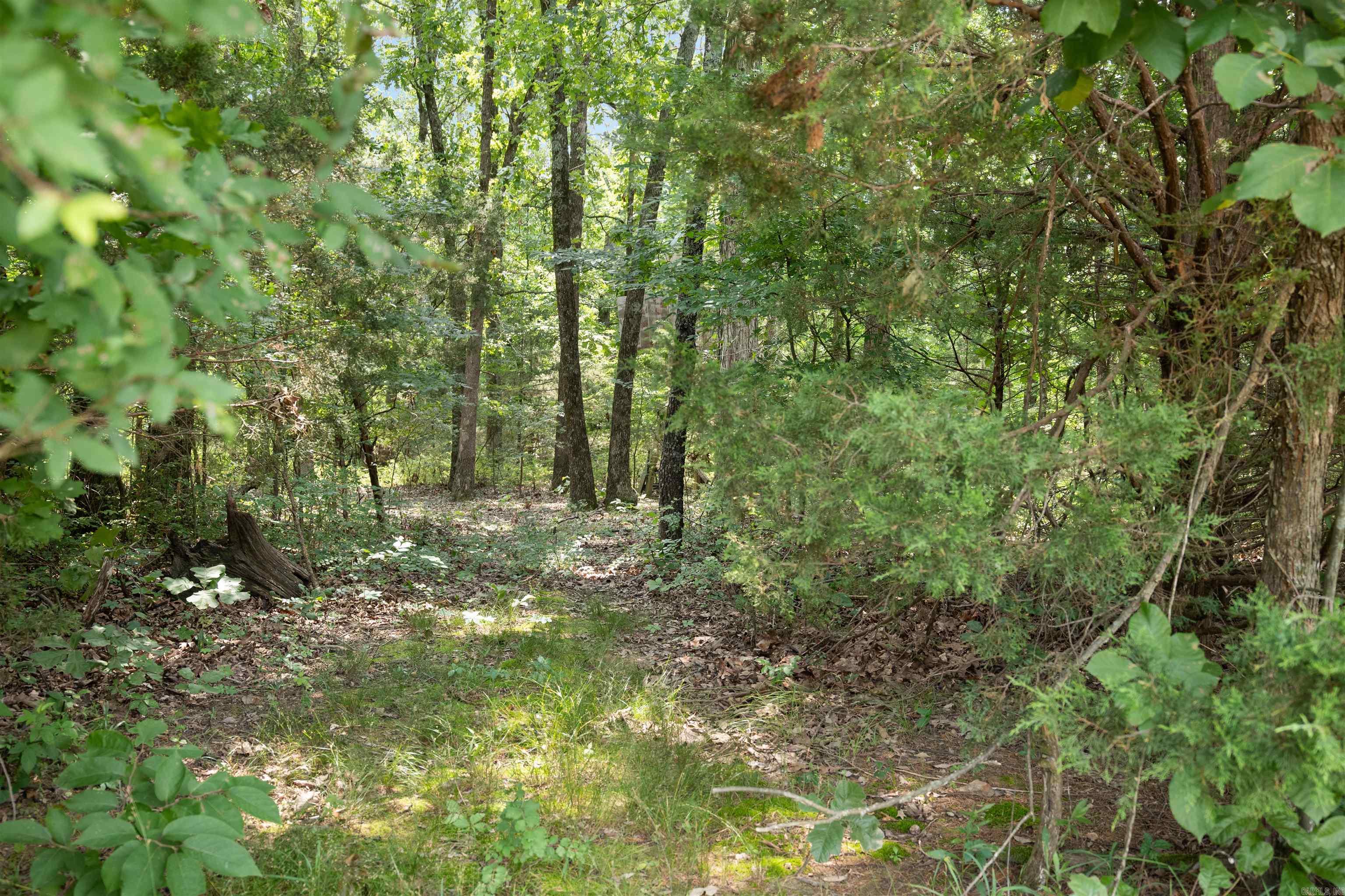 6754 Oak Ridge Road Property Photo 39