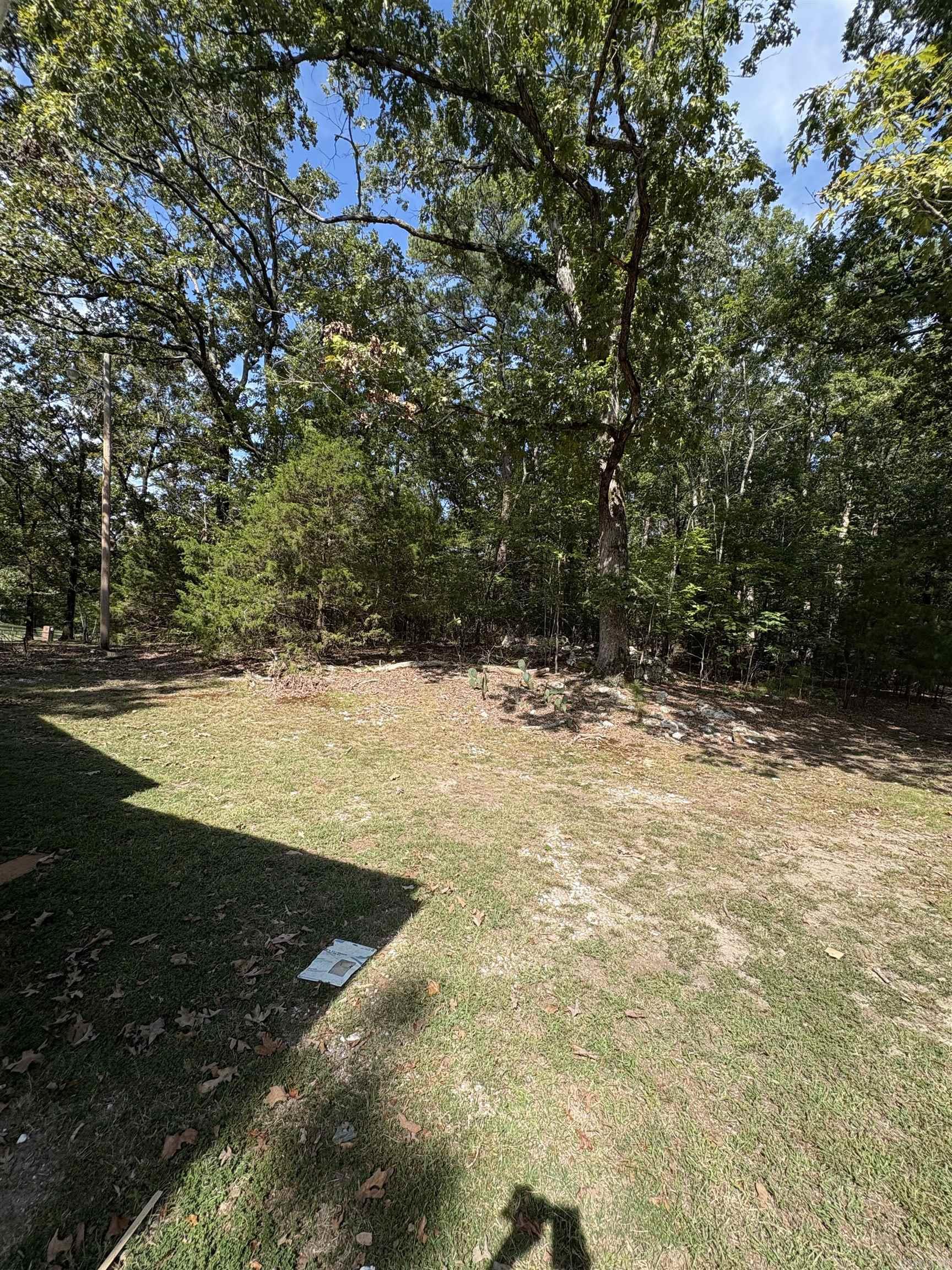 2301 Beauchamp Road Property Photo 10