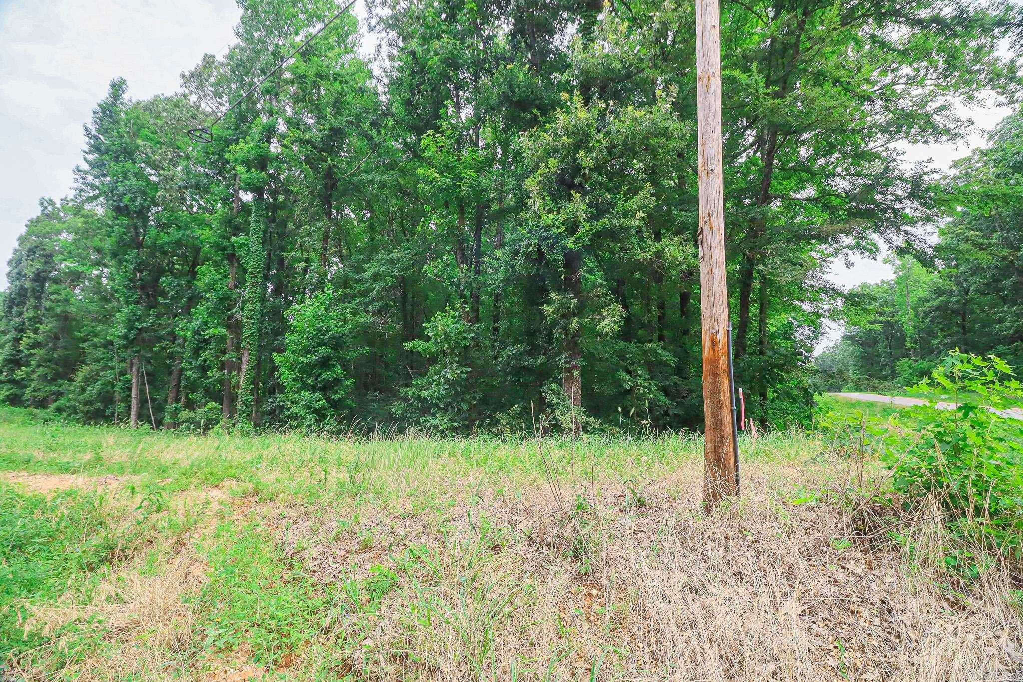 2 County Road 160 Property Photo 6