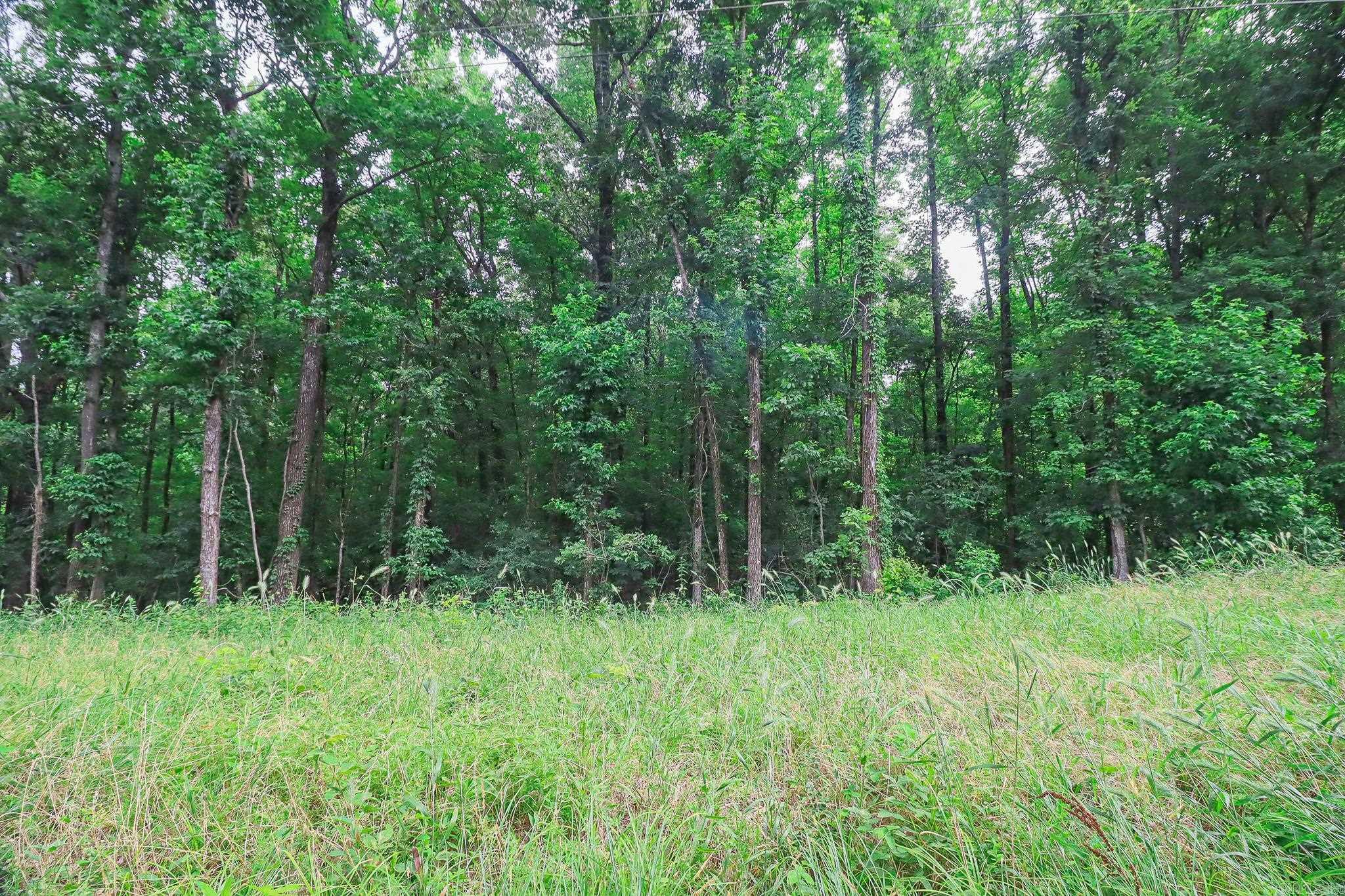 2 County Road 160 Property Photo 7