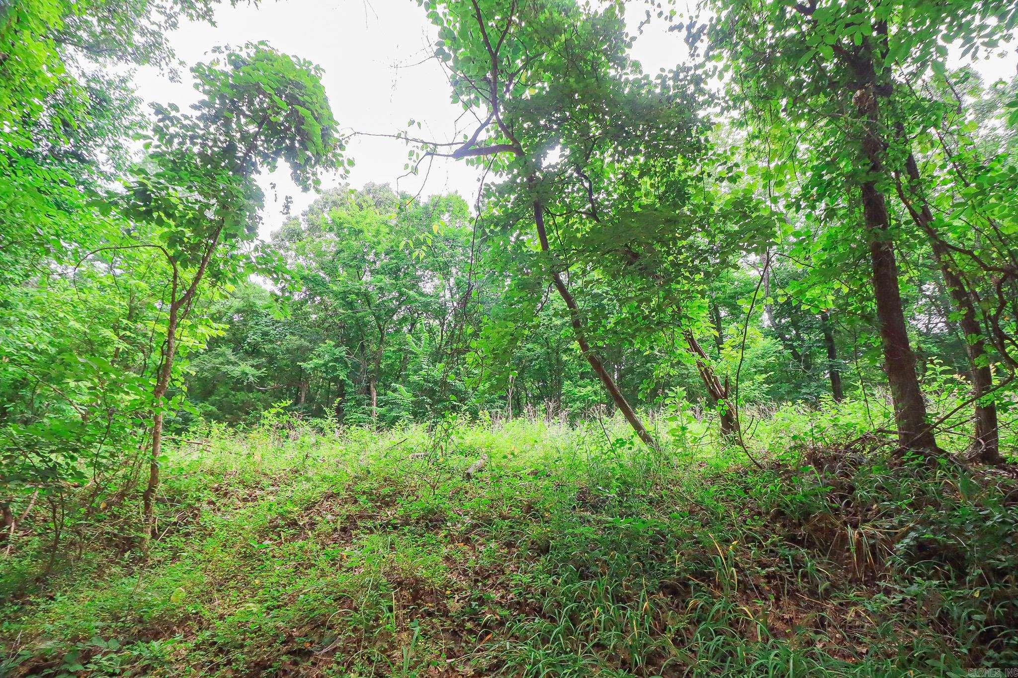 2 County Road 160 Property Photo 10