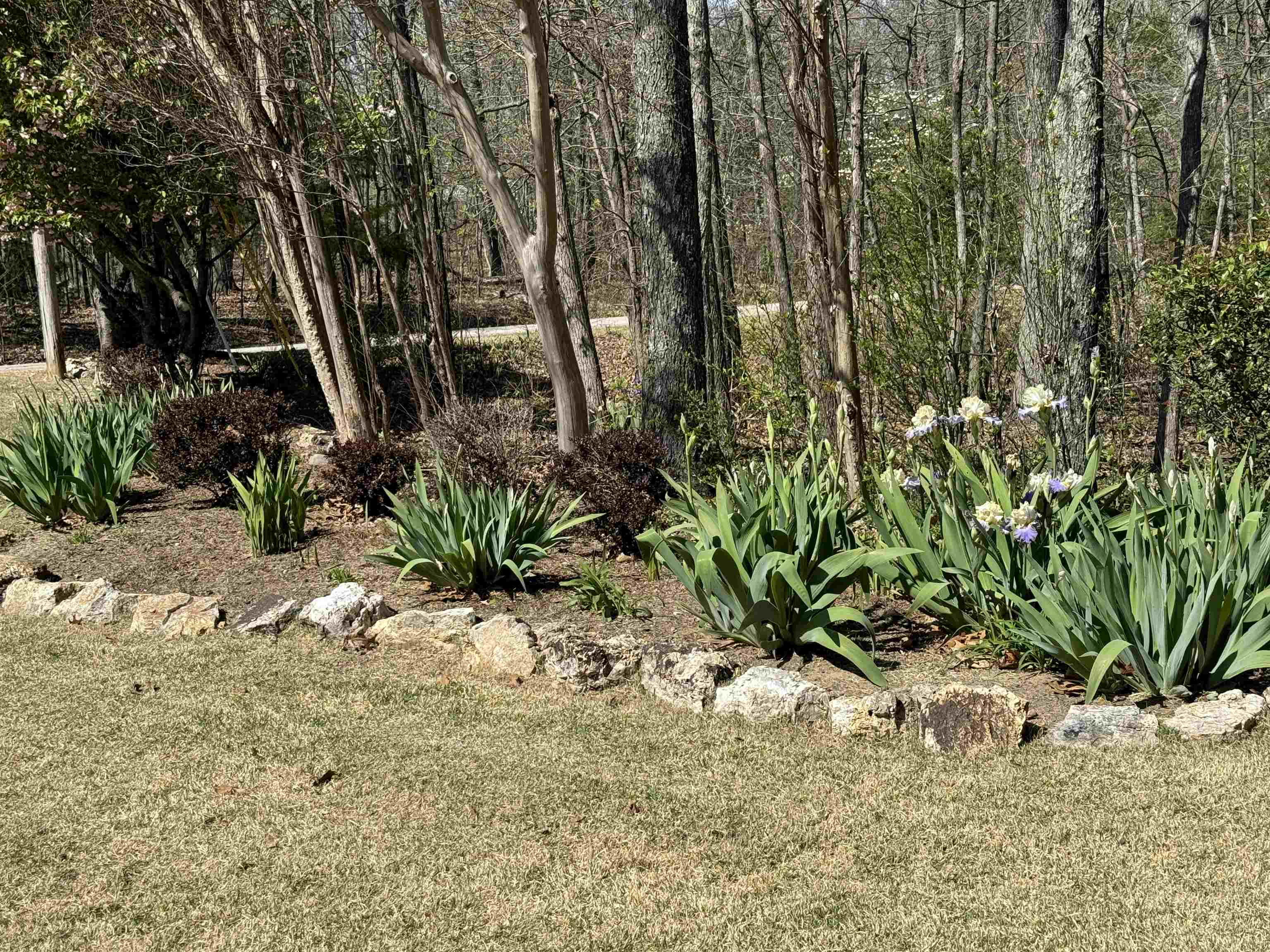 50 Spokane Drive Property Photo 50
