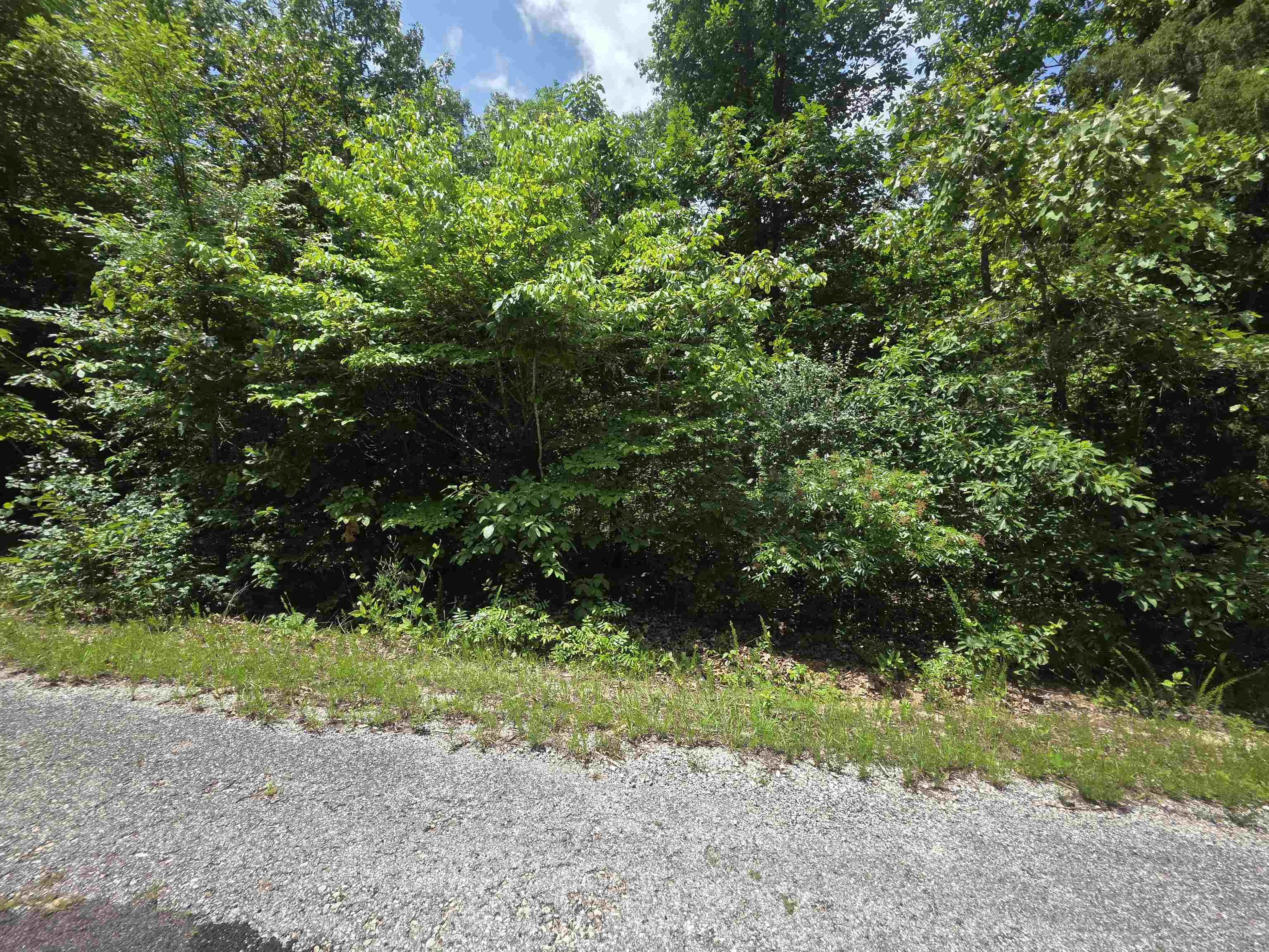 1101 S Michigan Avenue Property Photo 7