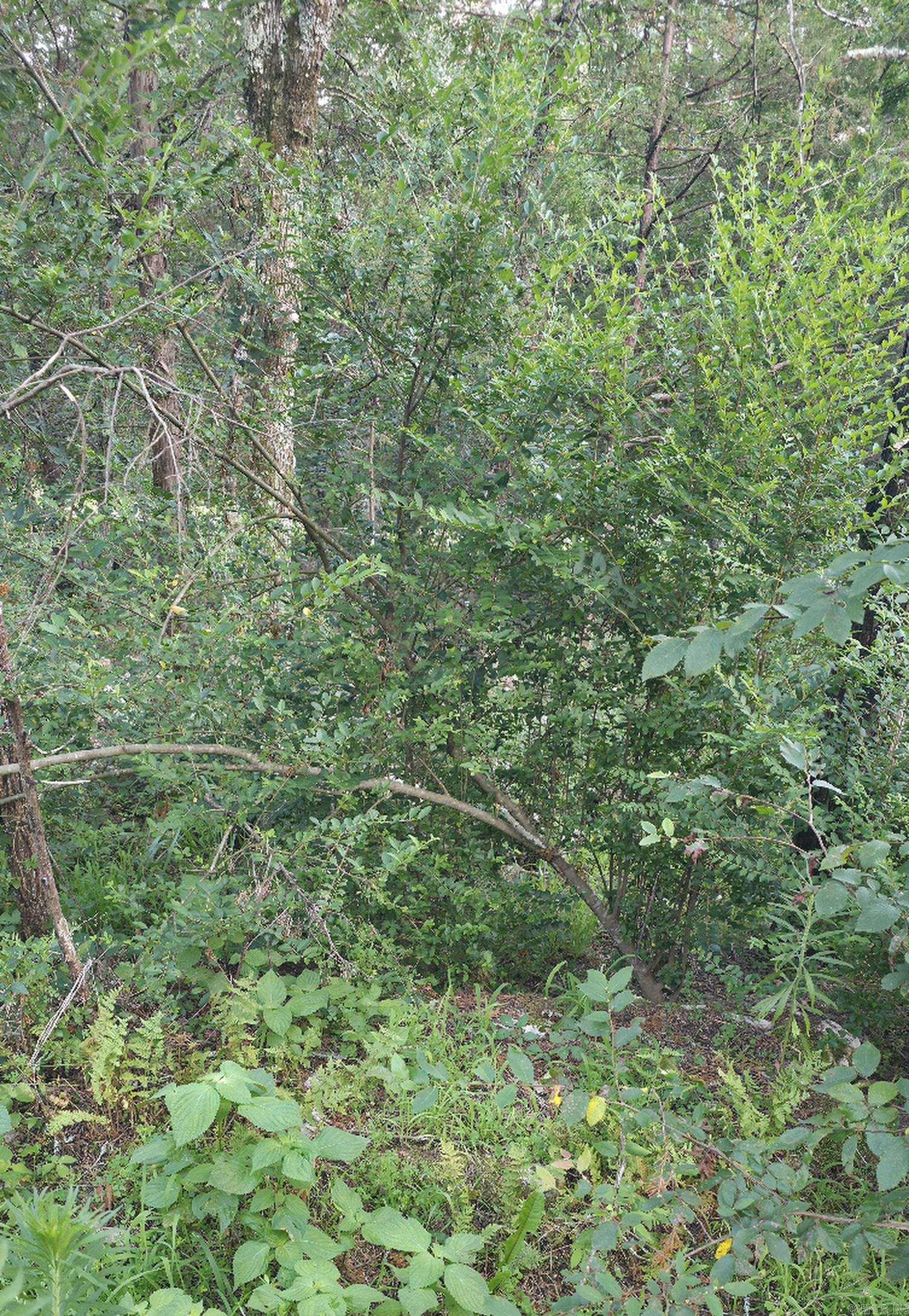 Tbd Rocky Road Property Photo 4