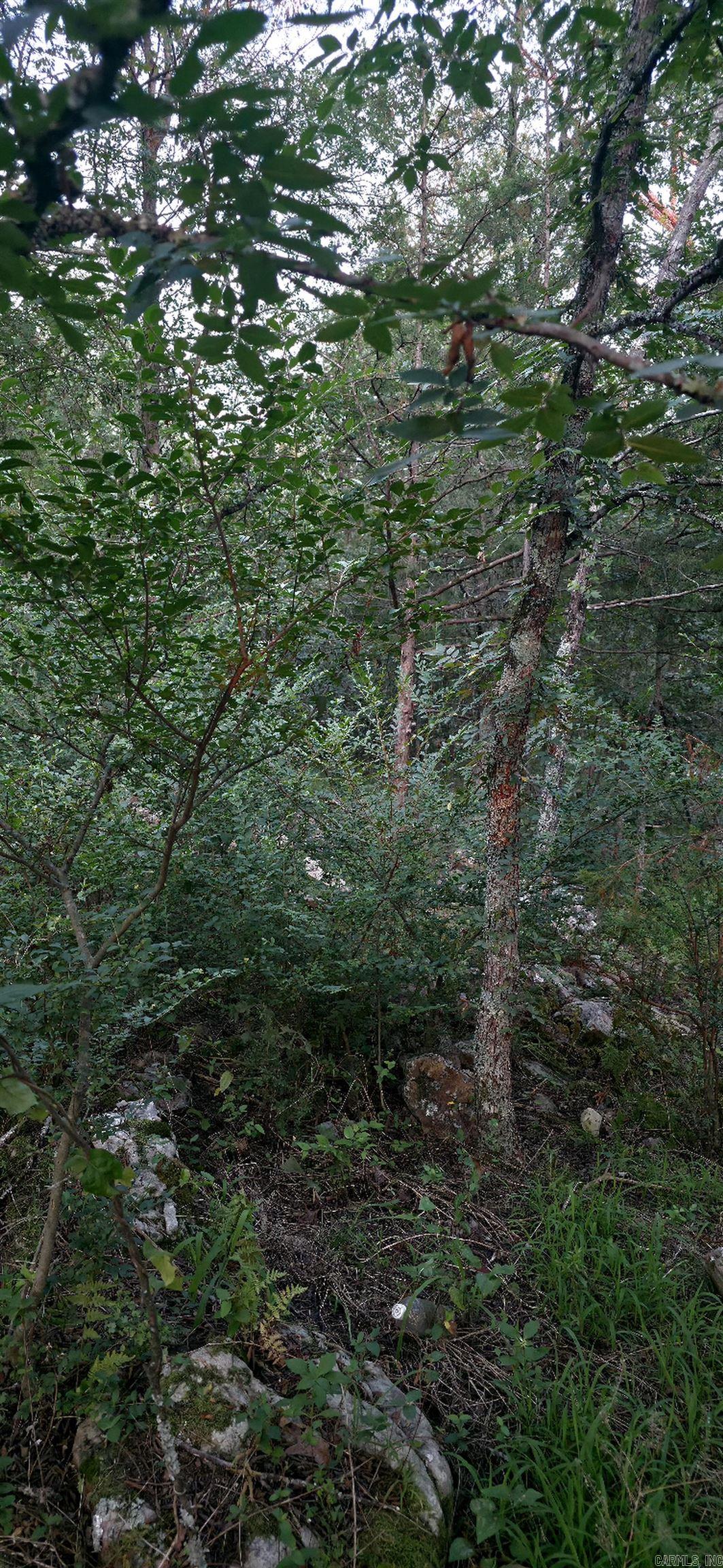 Tbd Rocky Road Property Photo 5