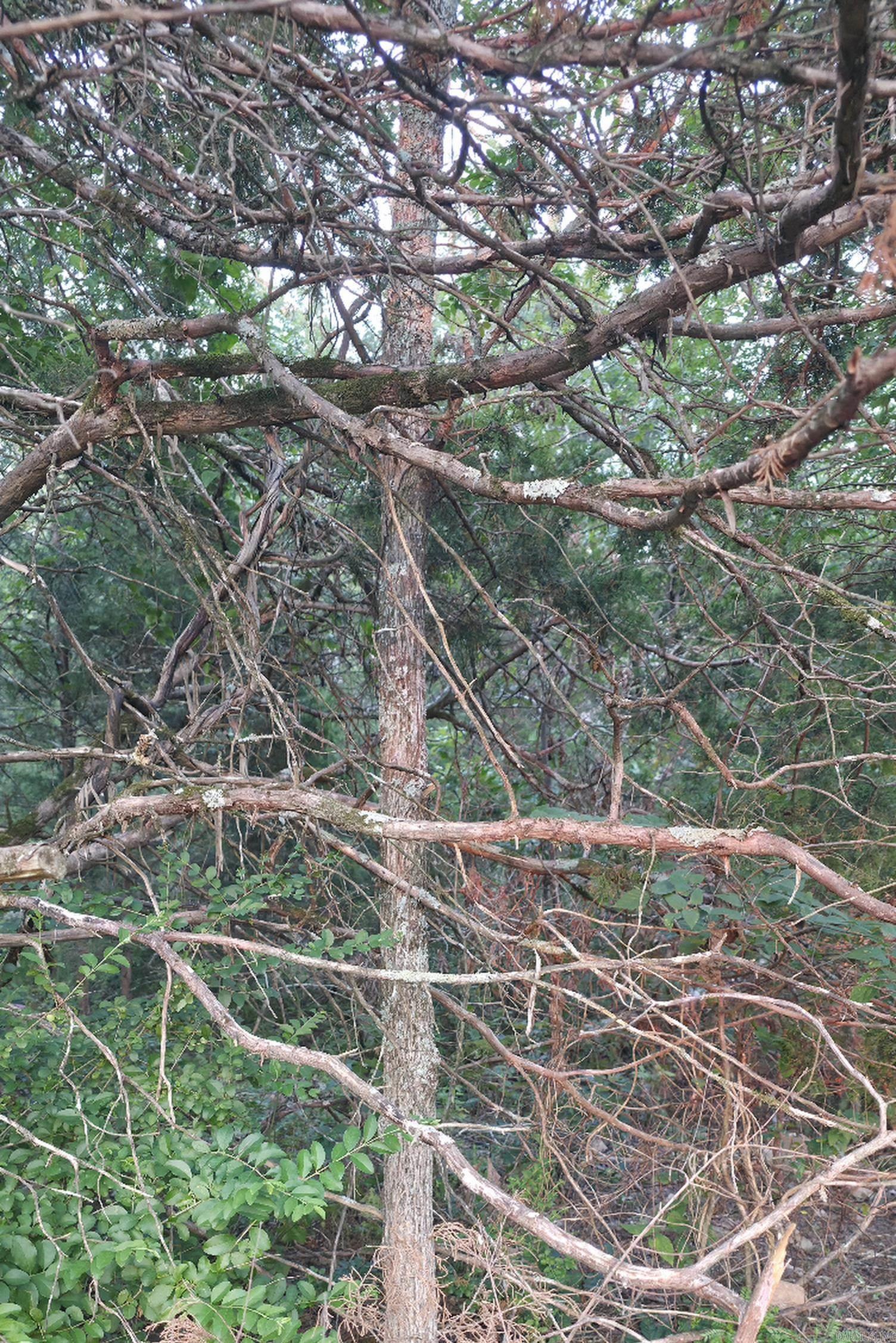 Tbd Rocky Road Property Photo 6