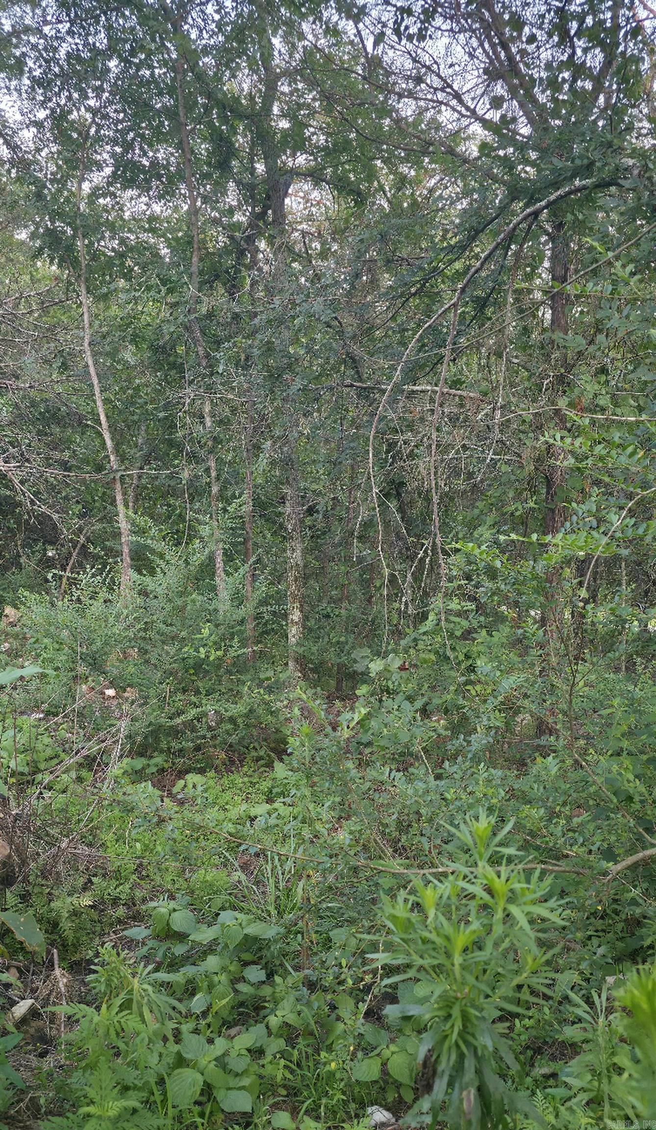 Tbd Rocky Road Property Photo 3