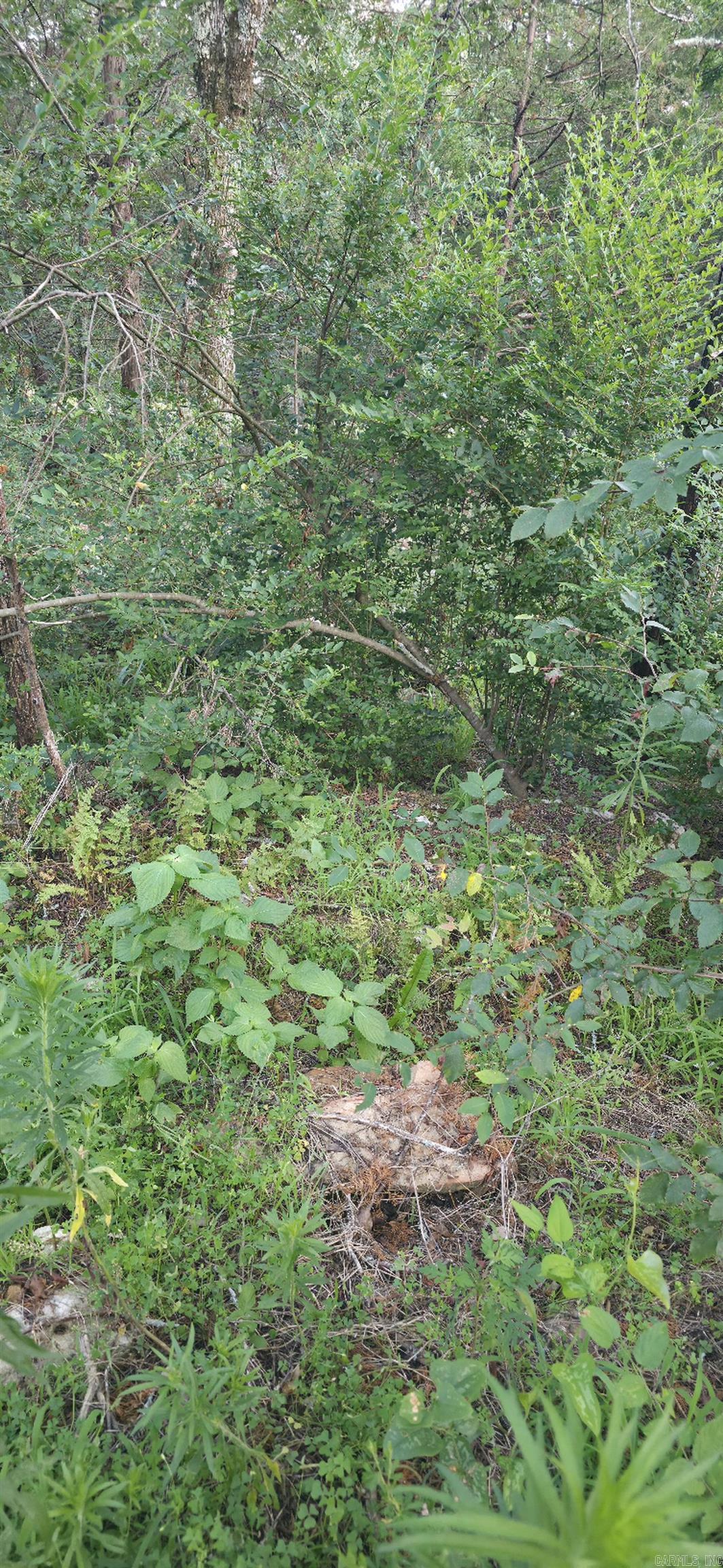 Tbd Rocky Road Property Photo 5