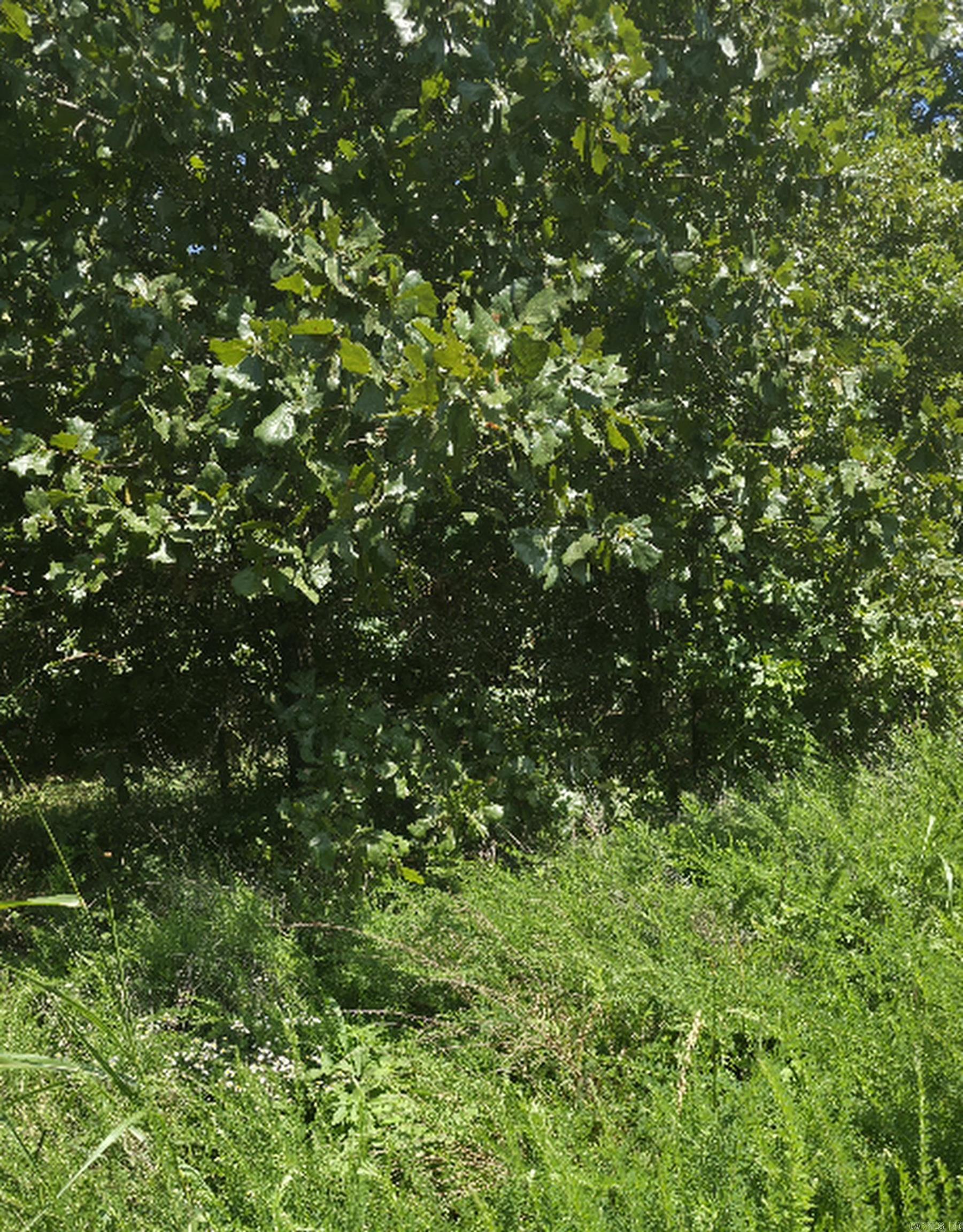 Tbd Rocky Road Property Photo 6