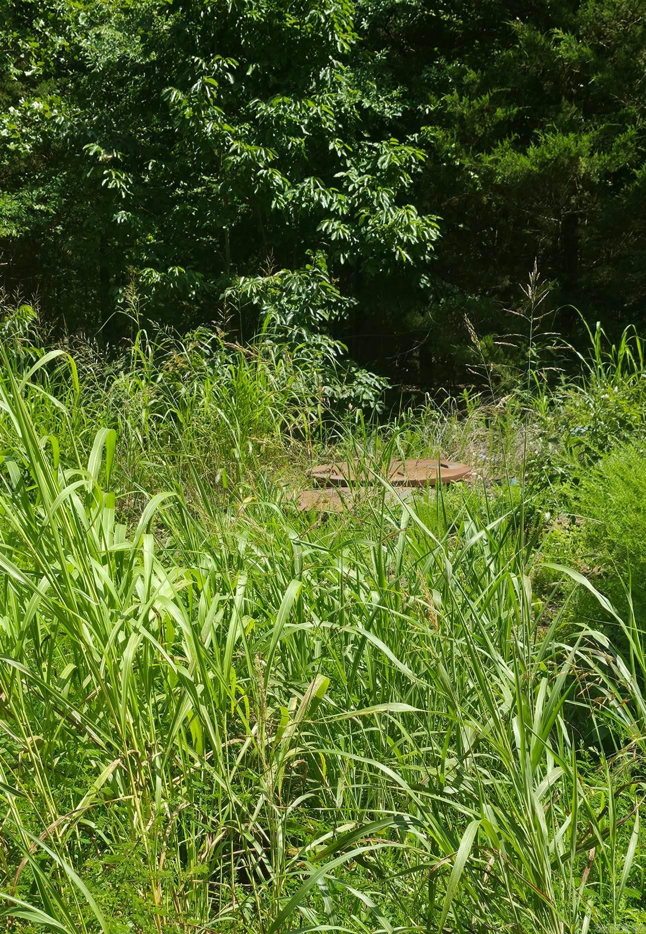 Tbd Rocky Road Property Photo 7