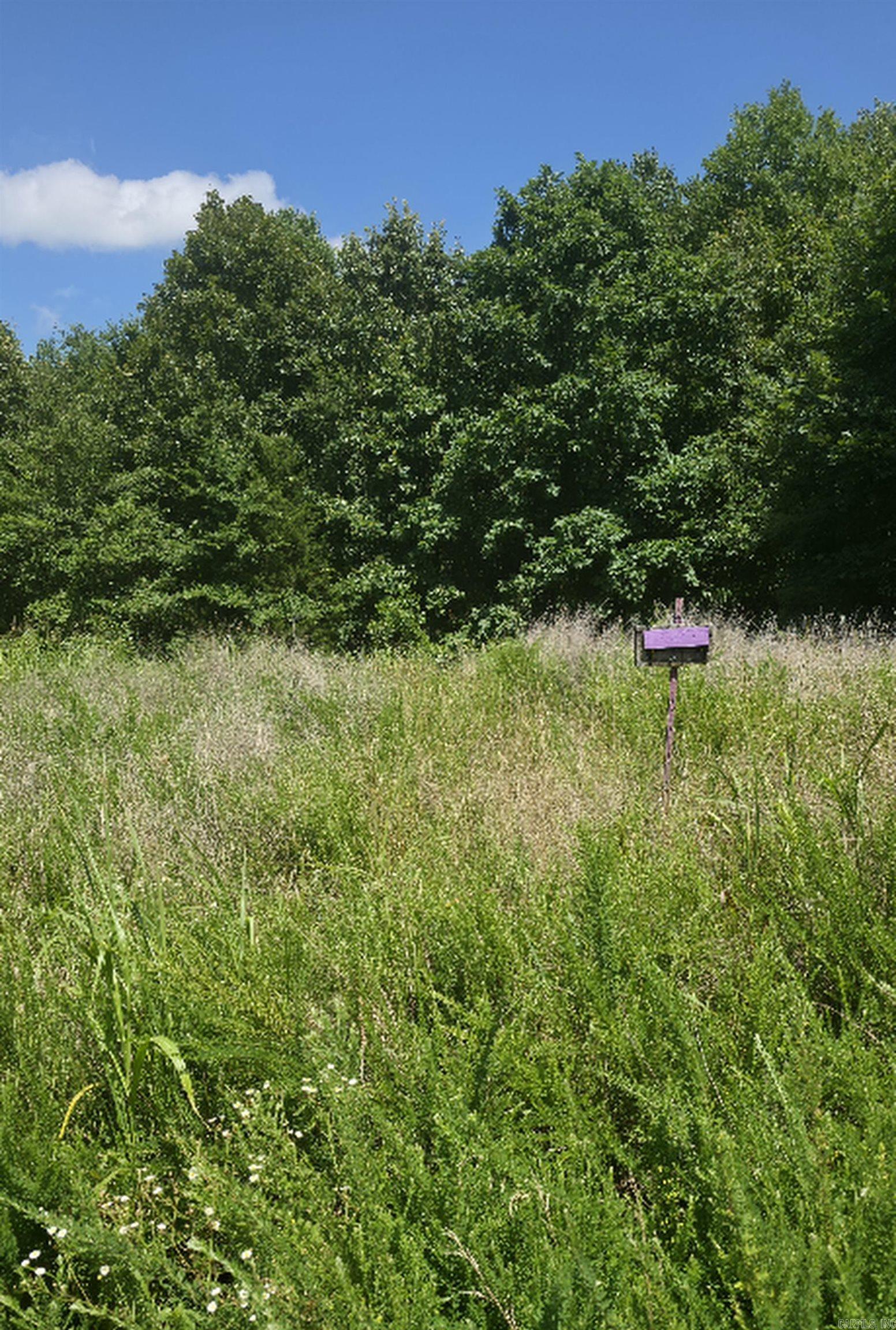Tbd Rocky Road Property Photo 8