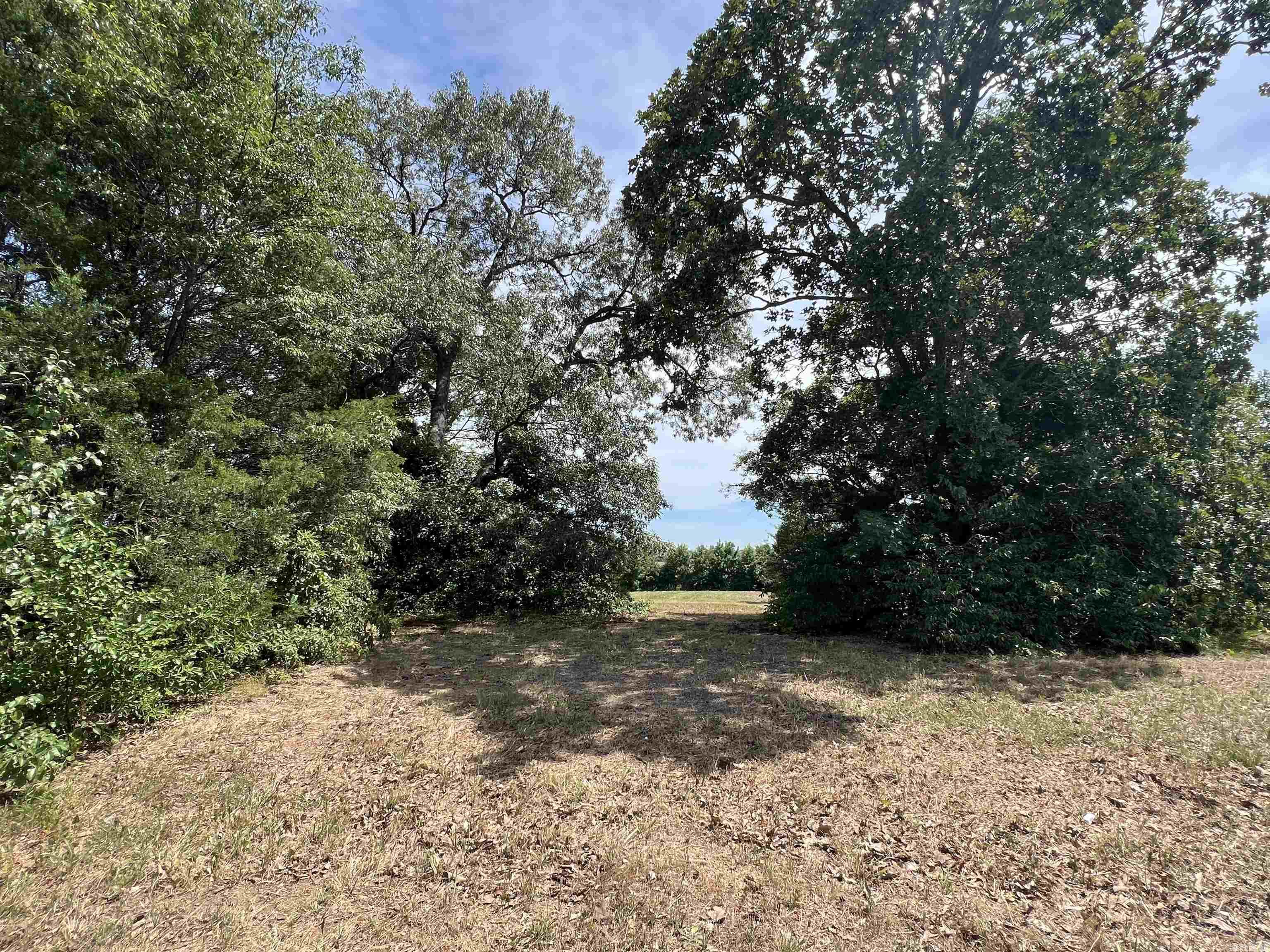 00 Museum Road Property Photo 11