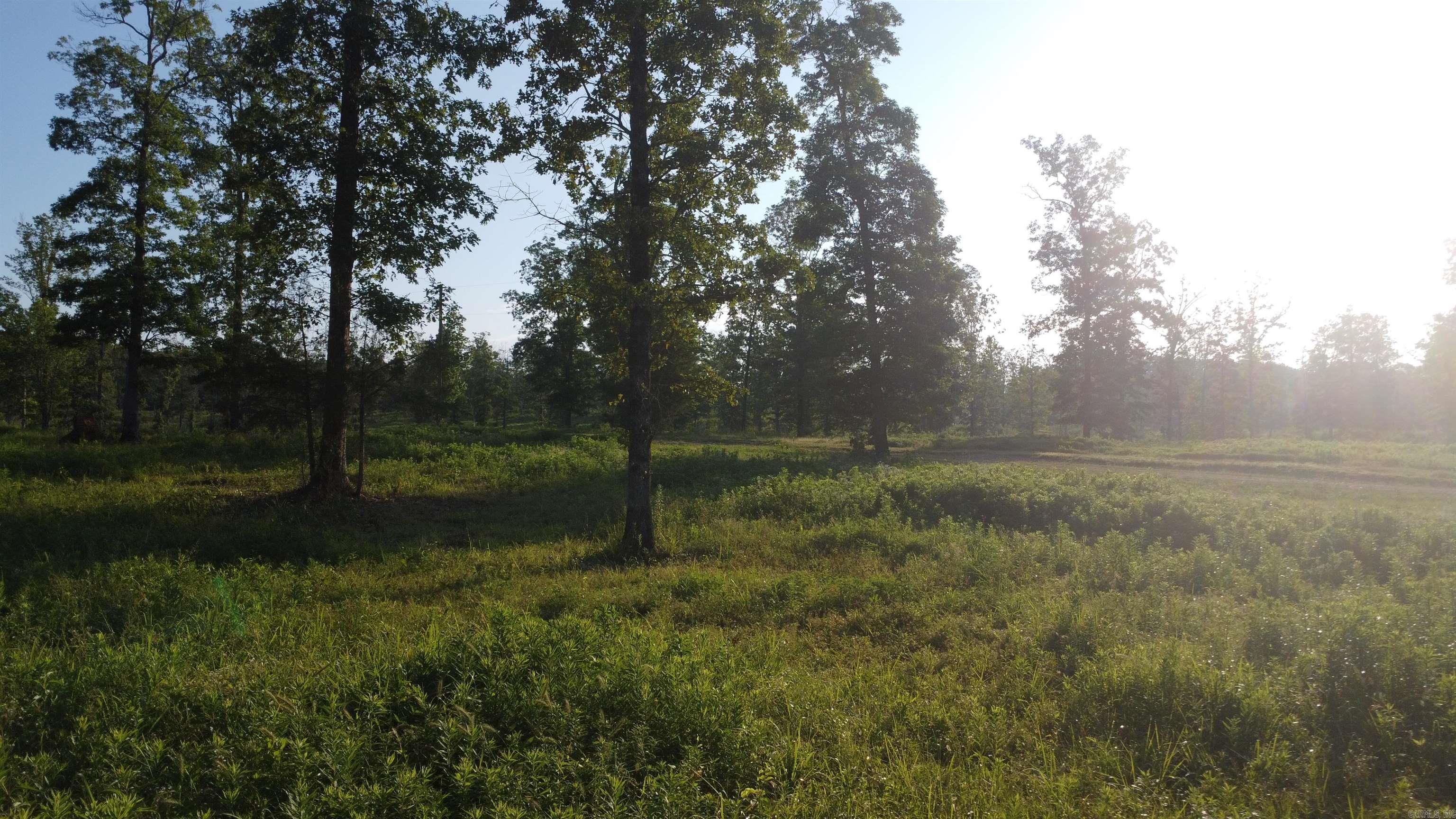 Tract 08 Tbd Whittington Homestead Property Photo 2
