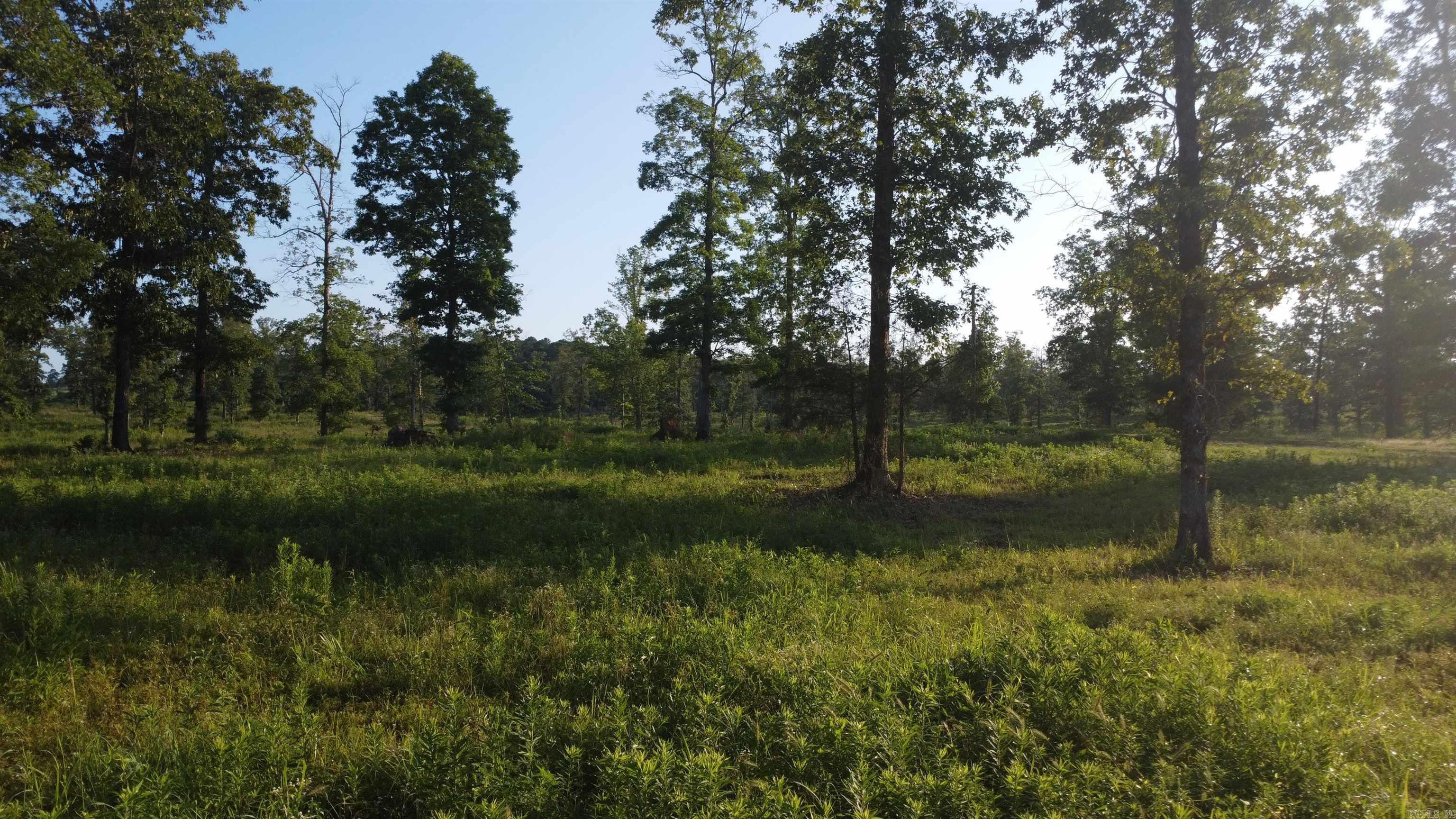 Tract 08 Tbd Whittington Homestead Property Photo 3