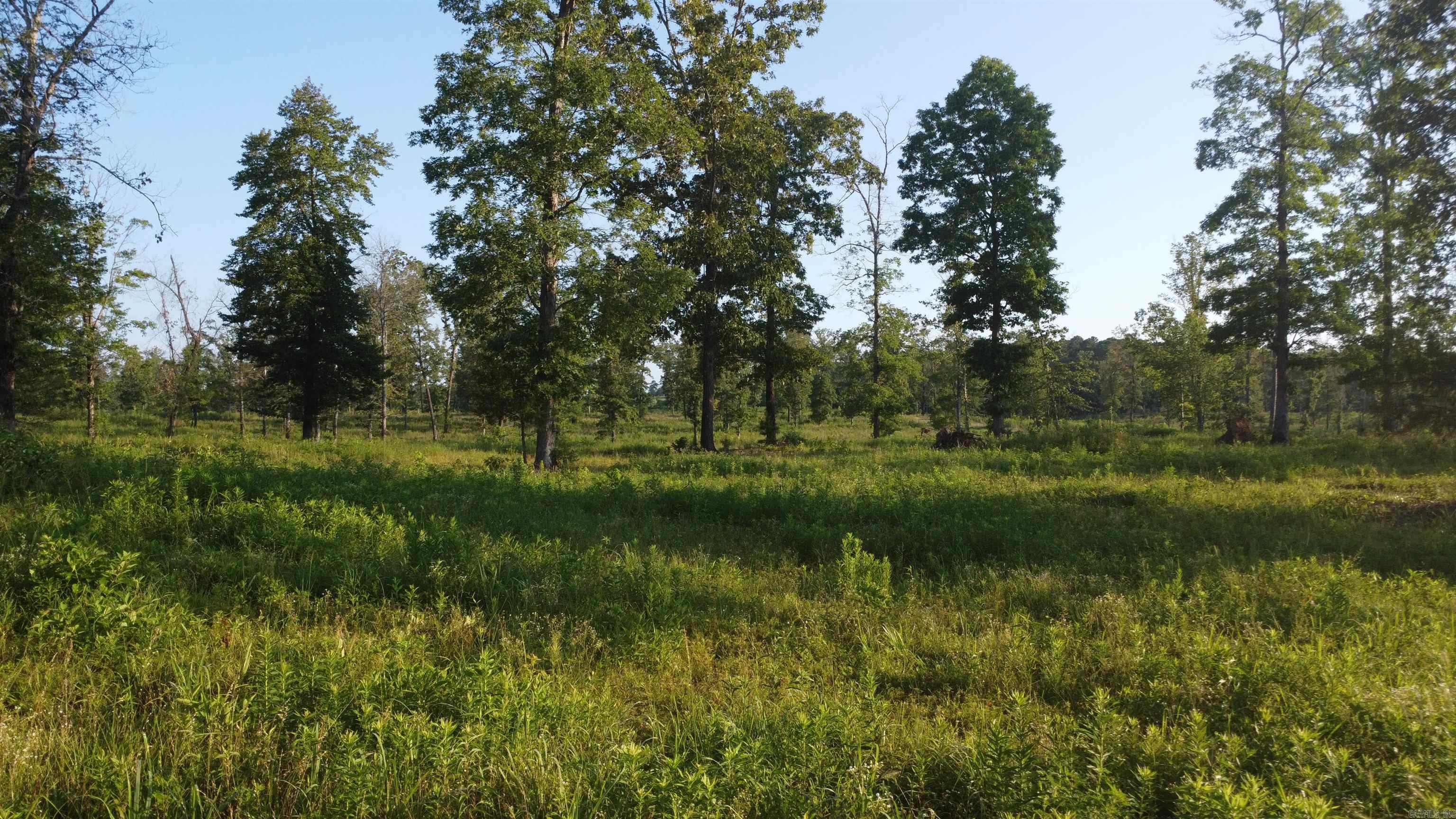 Tract 08 Tbd Whittington Homestead Property Photo 4