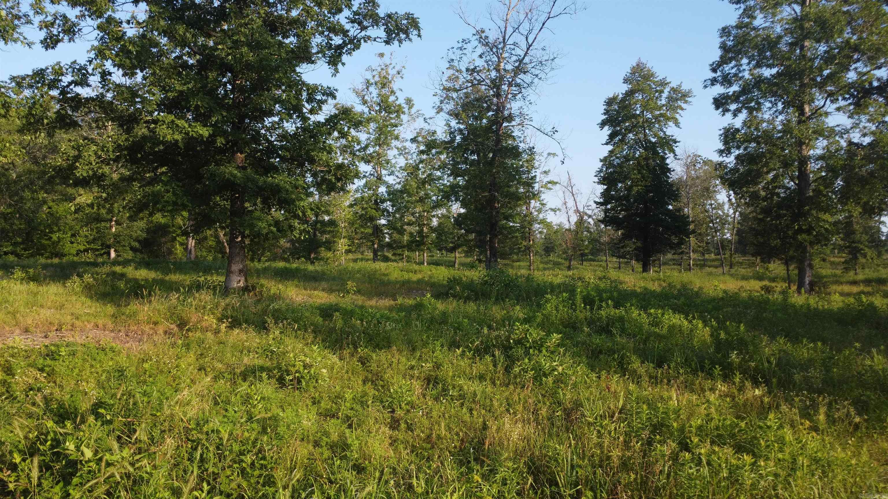 Tract 08 Tbd Whittington Homestead Property Photo 5