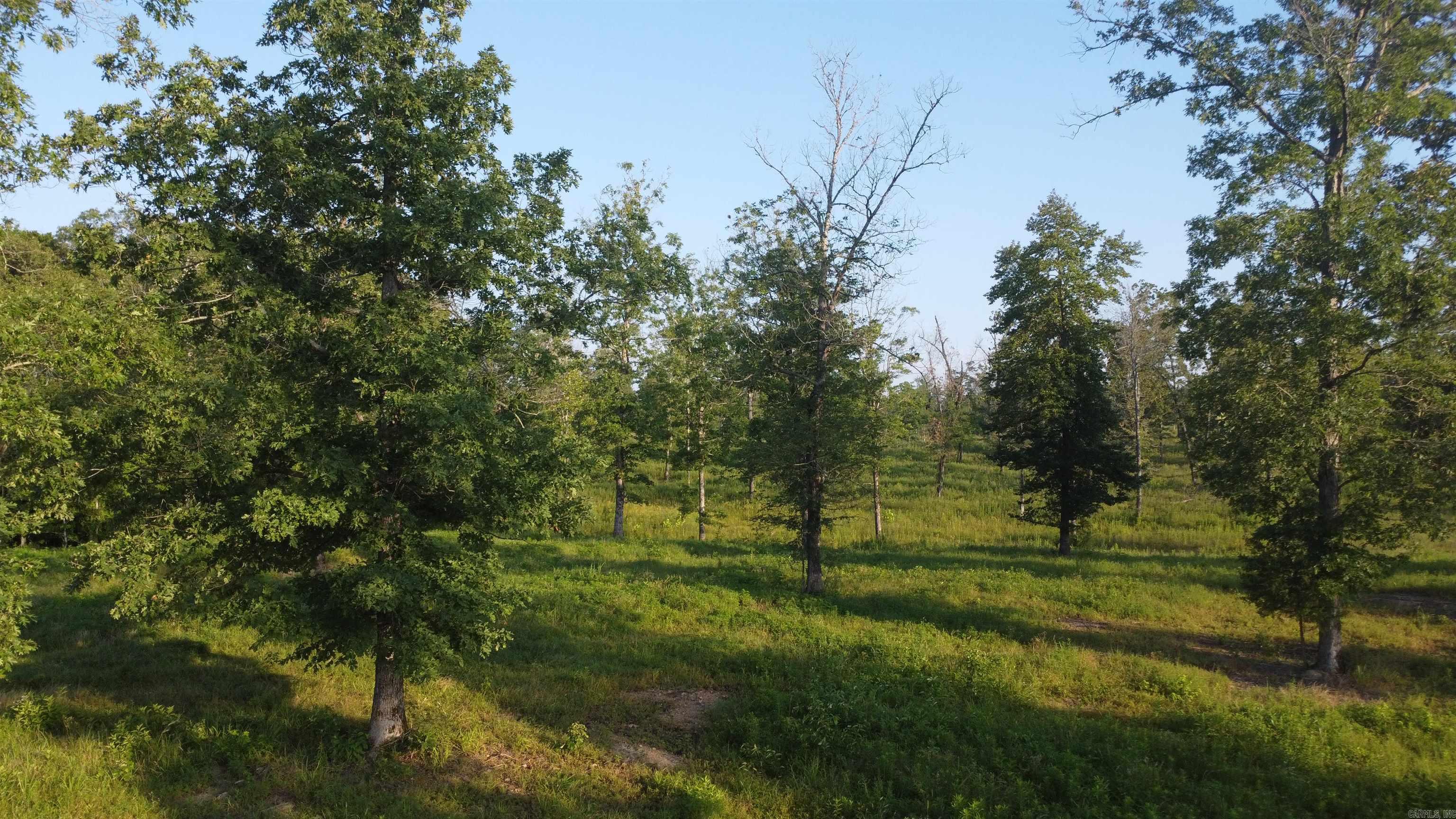 Tract 08 Tbd Whittington Homestead Property Photo 6