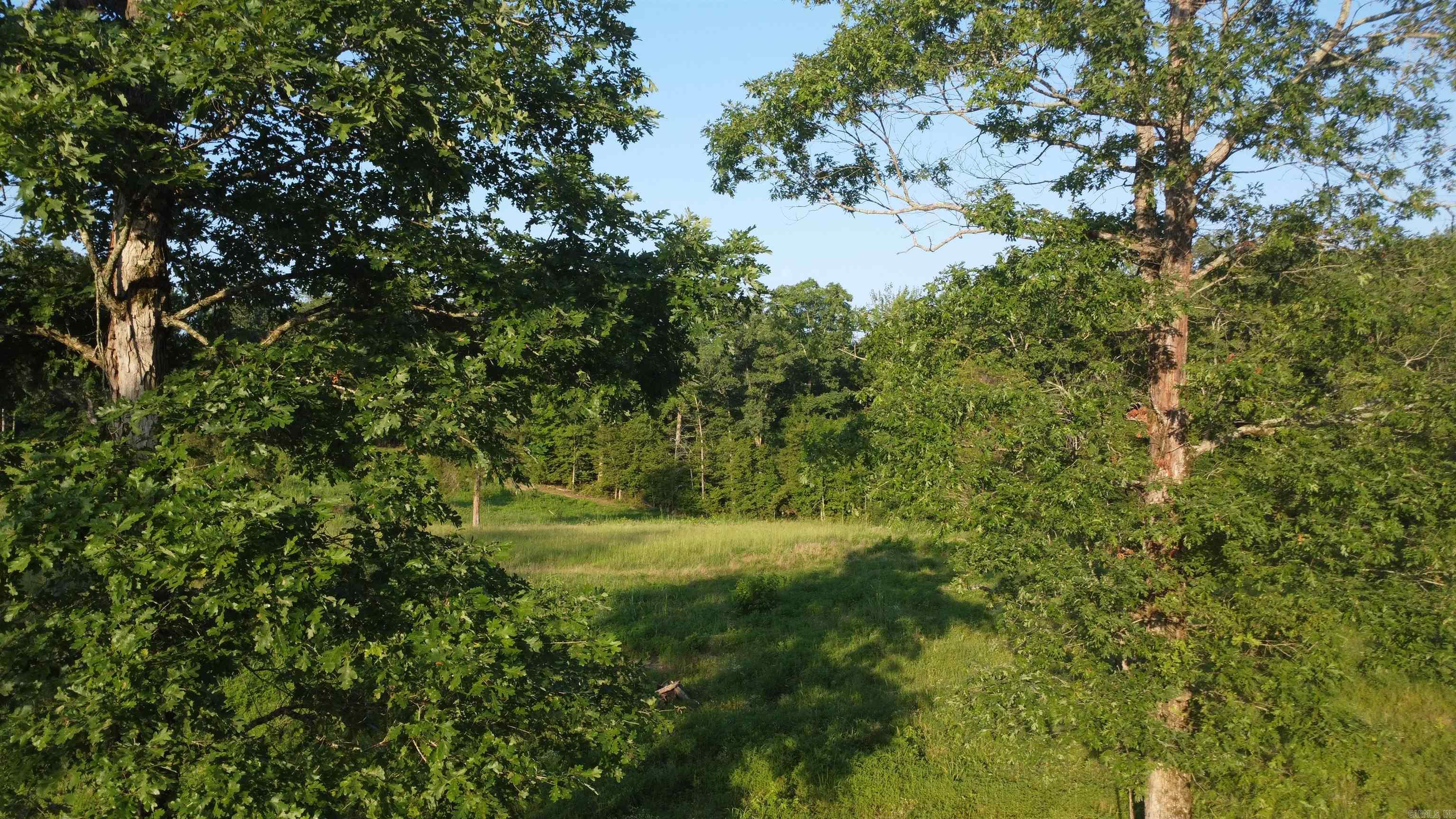 Tract 08 Tbd Whittington Homestead Property Photo 7