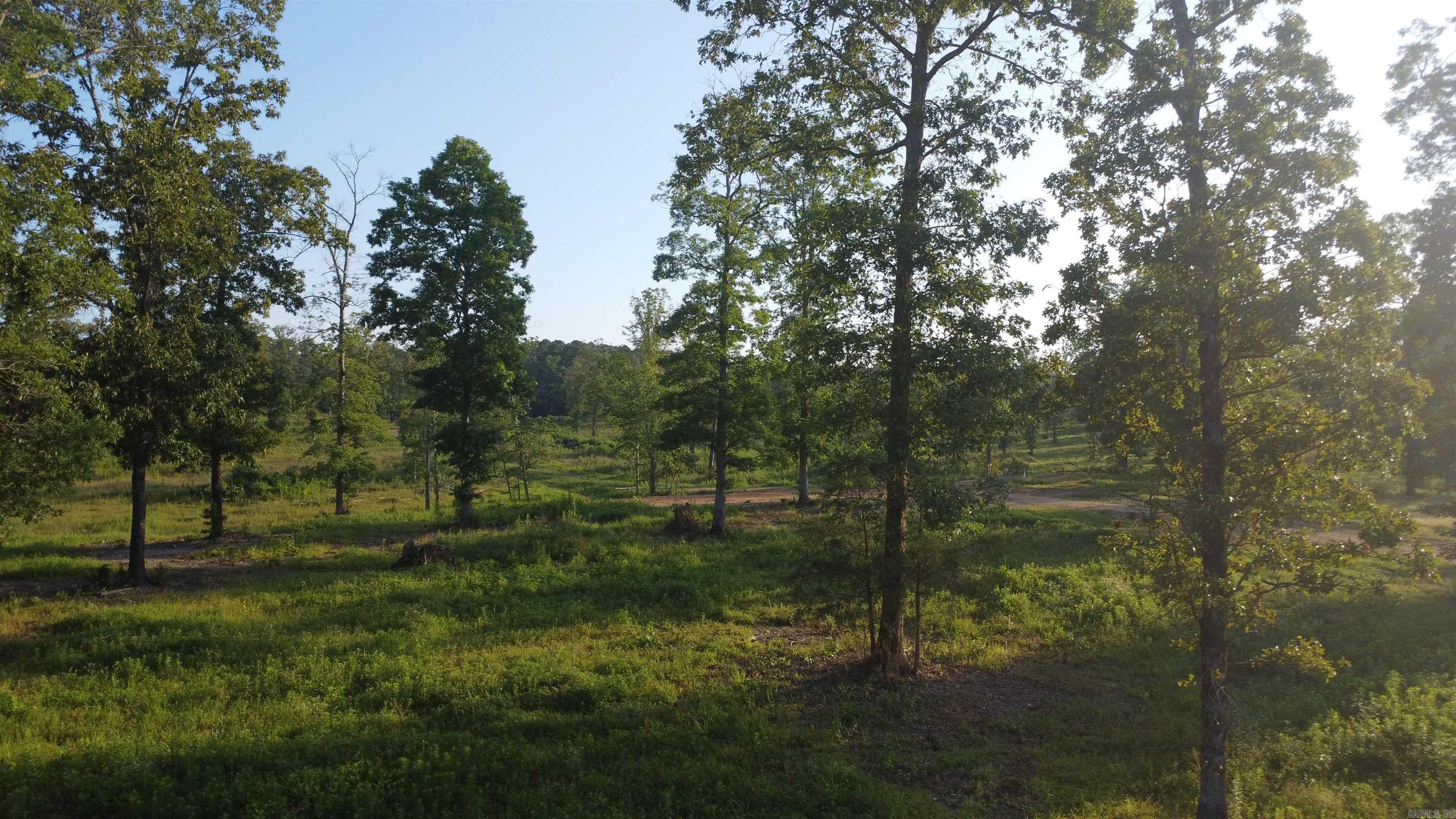 Tract 08 Tbd Whittington Homestead Property Photo 11