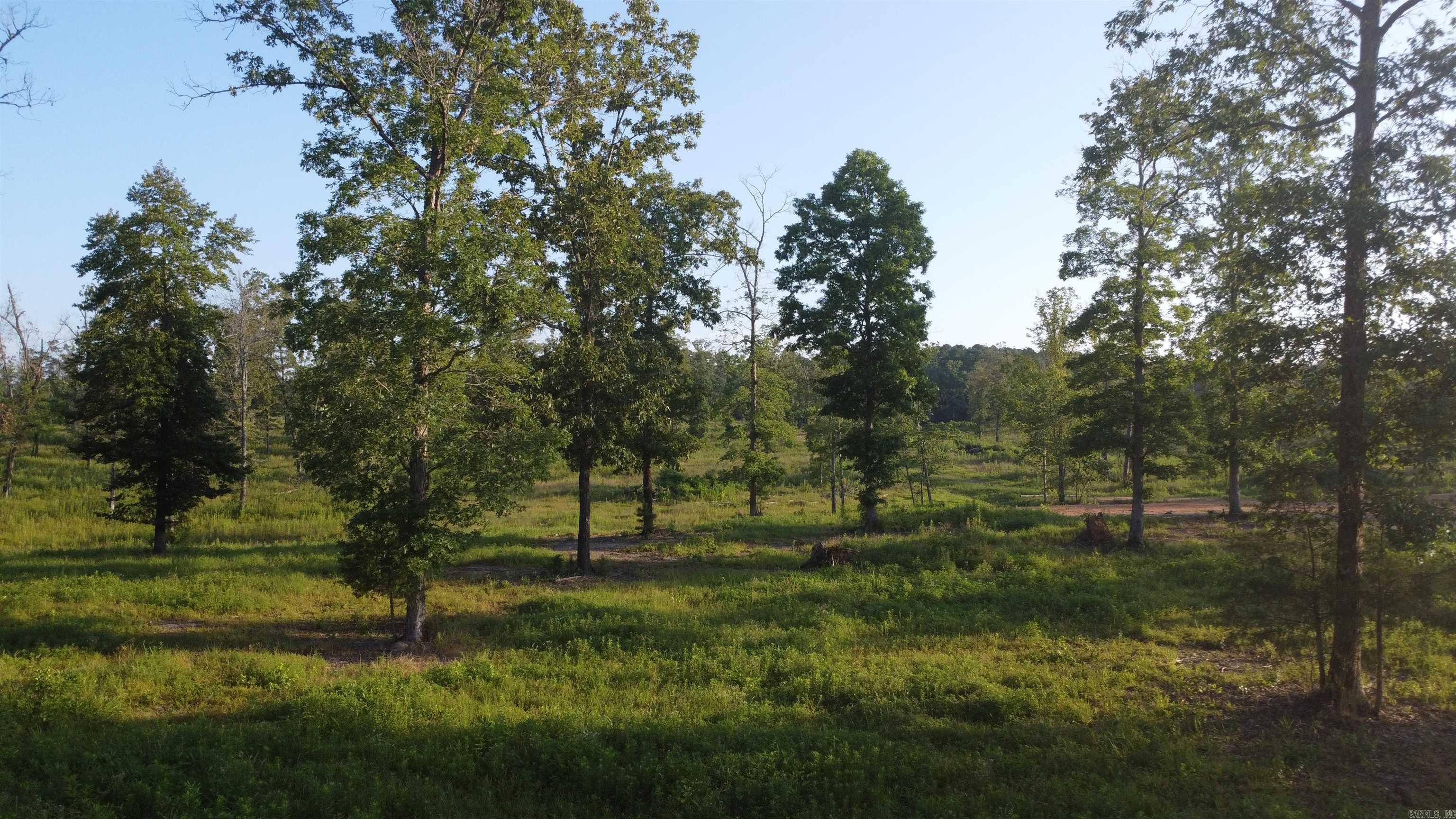 Tract 08 Tbd Whittington Homestead Property Photo 12