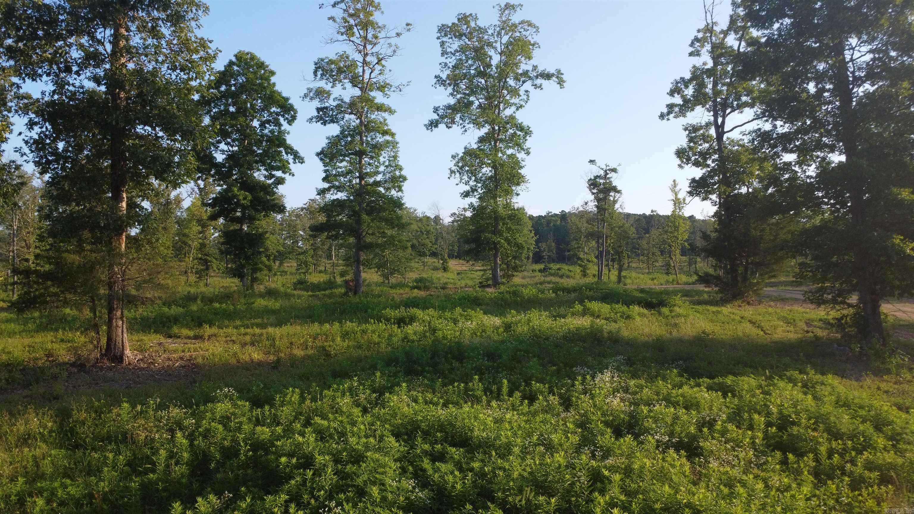 Tract 08 Tbd Whittington Homestead Property Photo 13