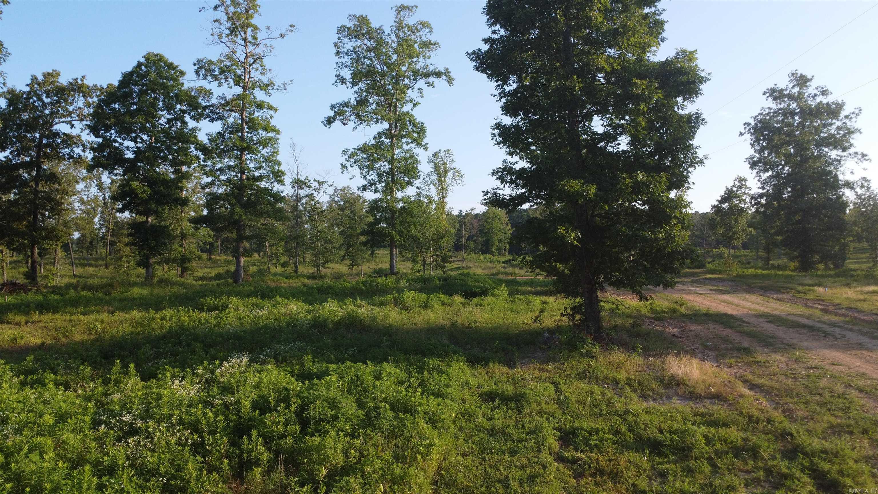 Tract 08 Tbd Whittington Homestead Property Photo 14