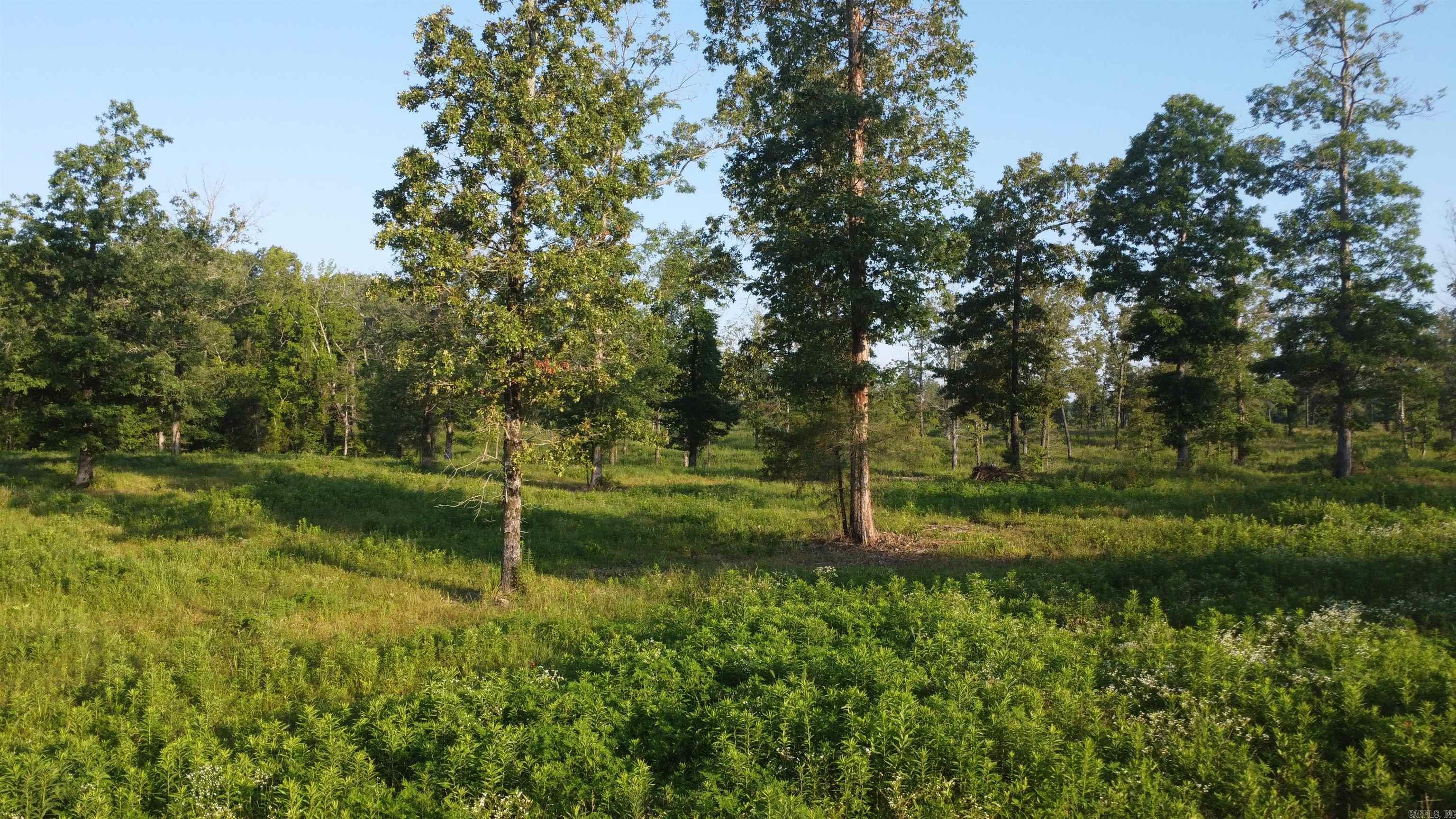Tract 08 Tbd Whittington Homestead Property Photo 15