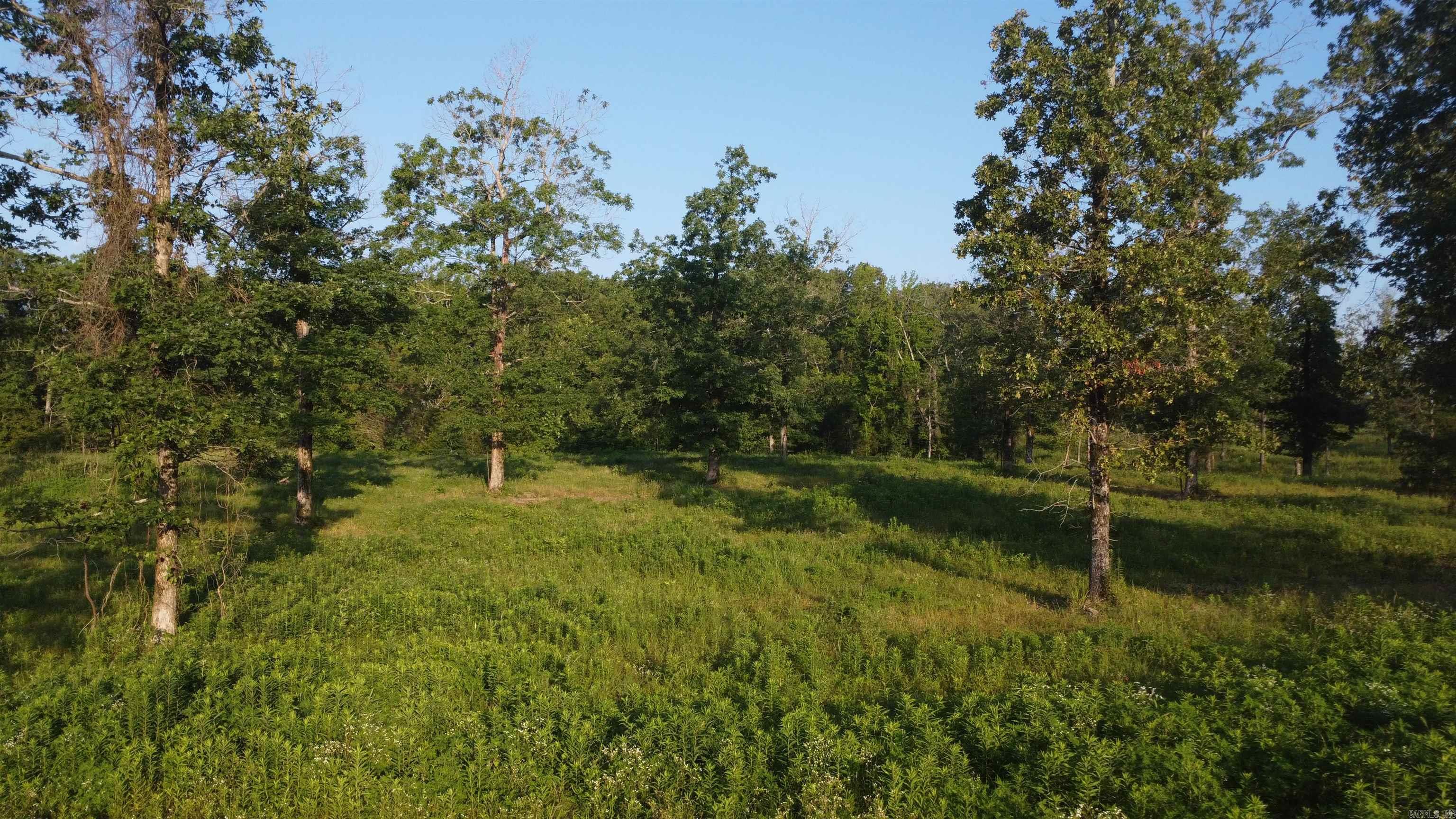 Tract 08 Tbd Whittington Homestead Property Photo 16