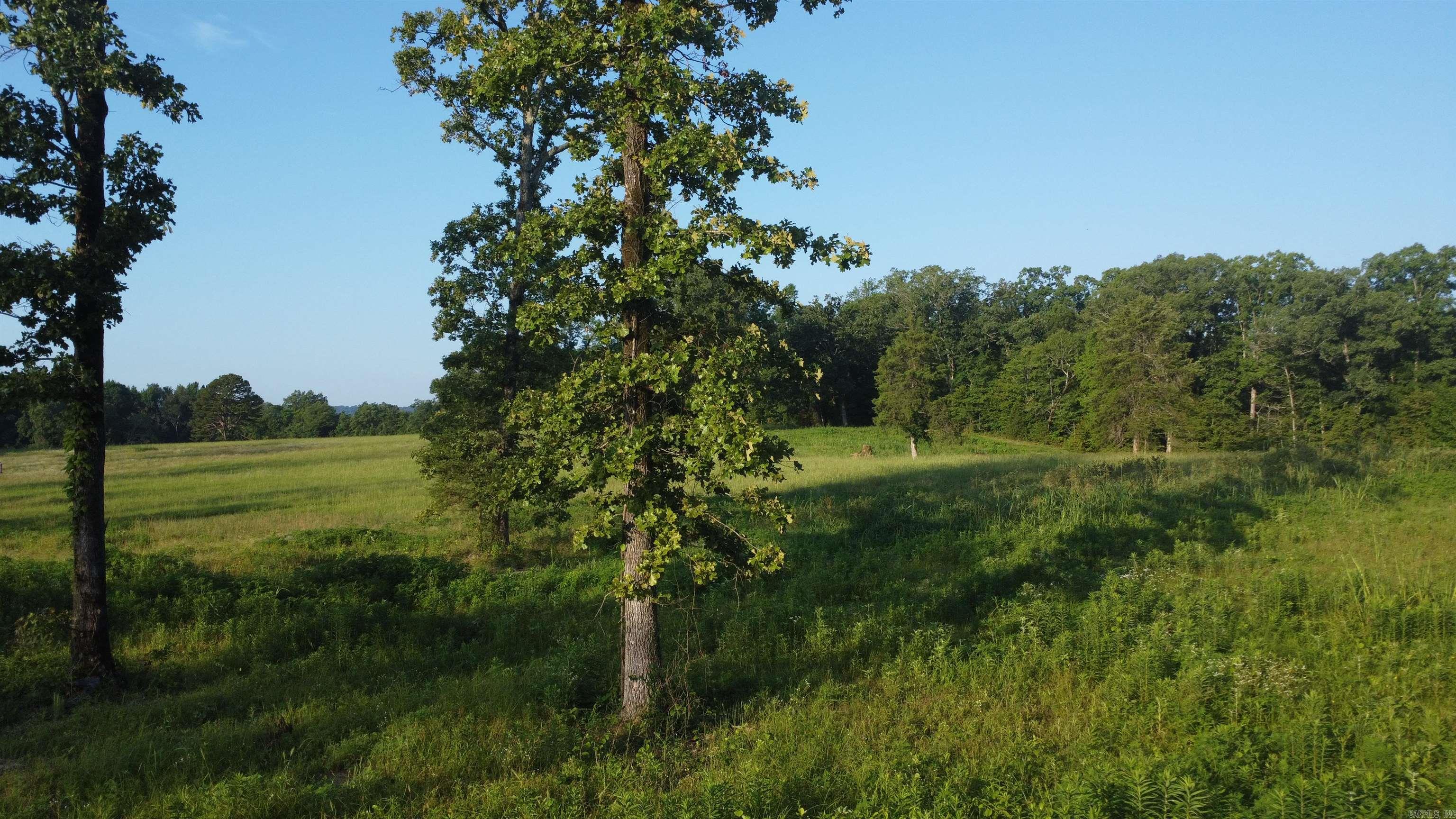 Tract 08 Tbd Whittington Homestead Property Photo 17