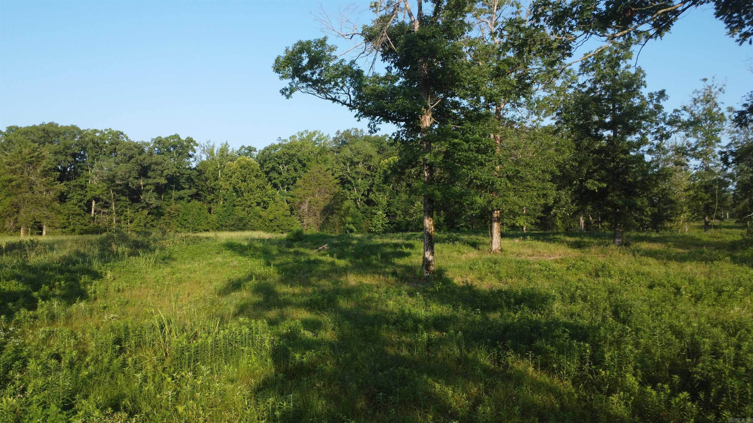Tract 08 Tbd Whittington Homestead Property Photo 19