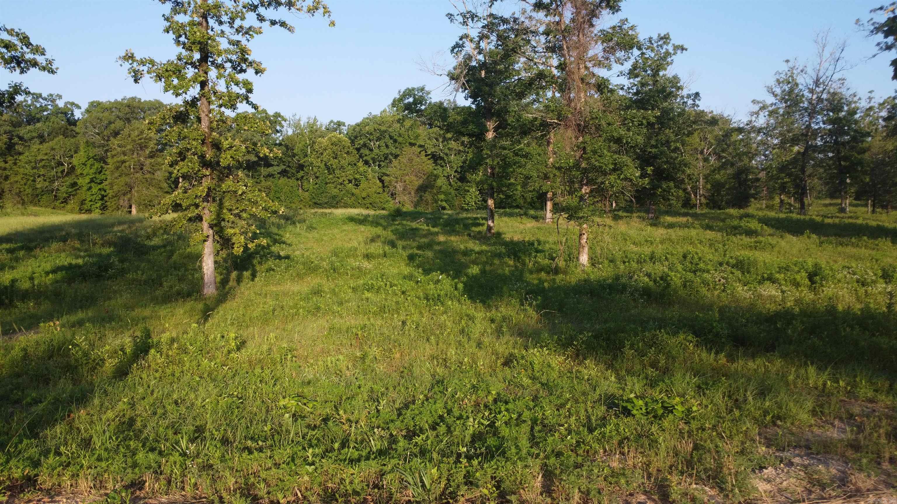 Tract 08 Tbd Whittington Homestead Property Photo 20