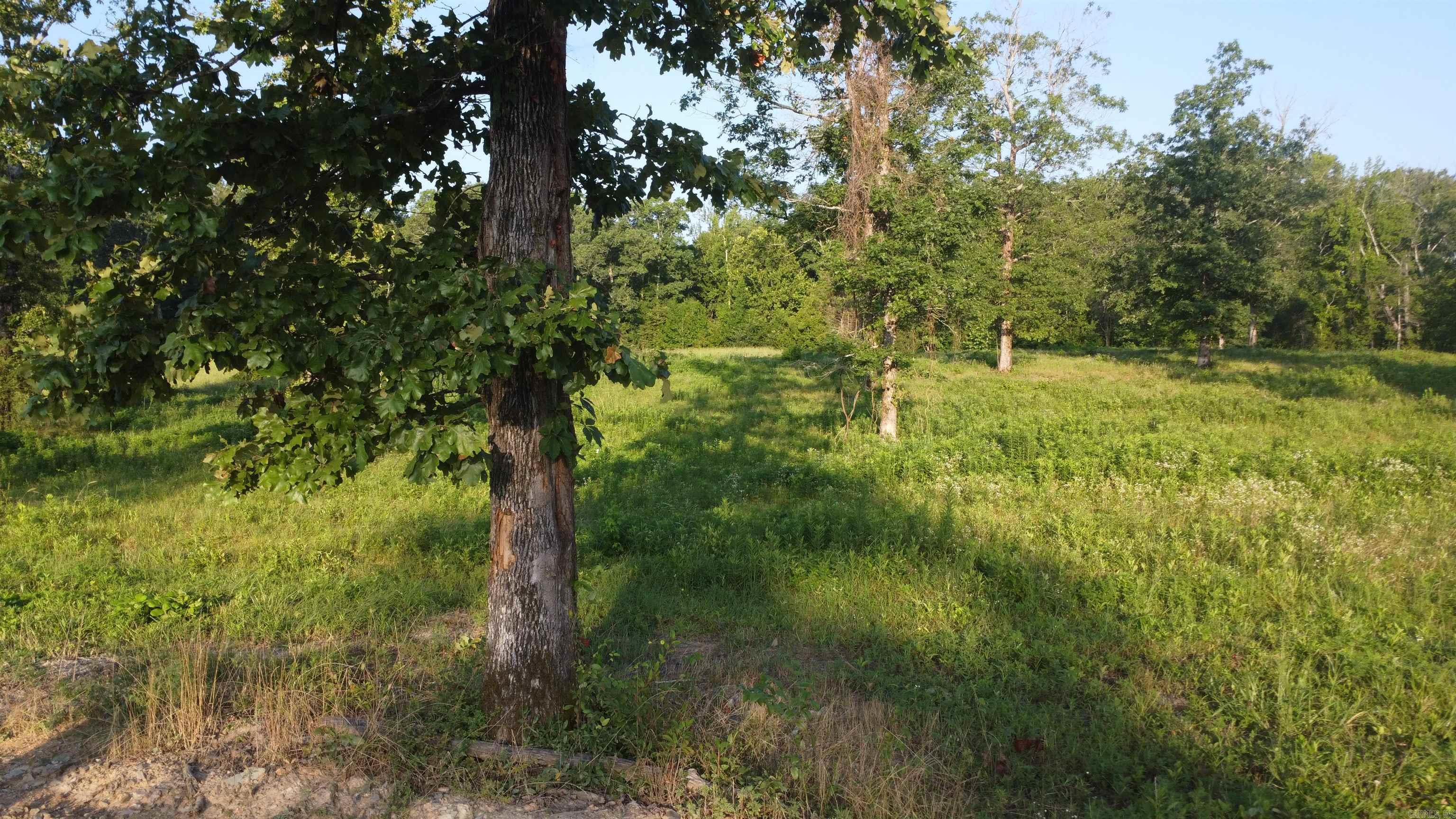 Tract 08 Tbd Whittington Homestead Property Photo 21