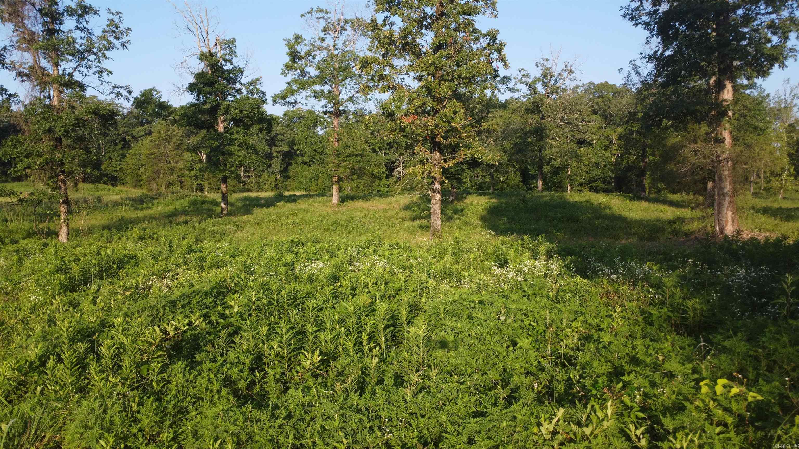 Tract 08 Tbd Whittington Homestead Property Photo 22