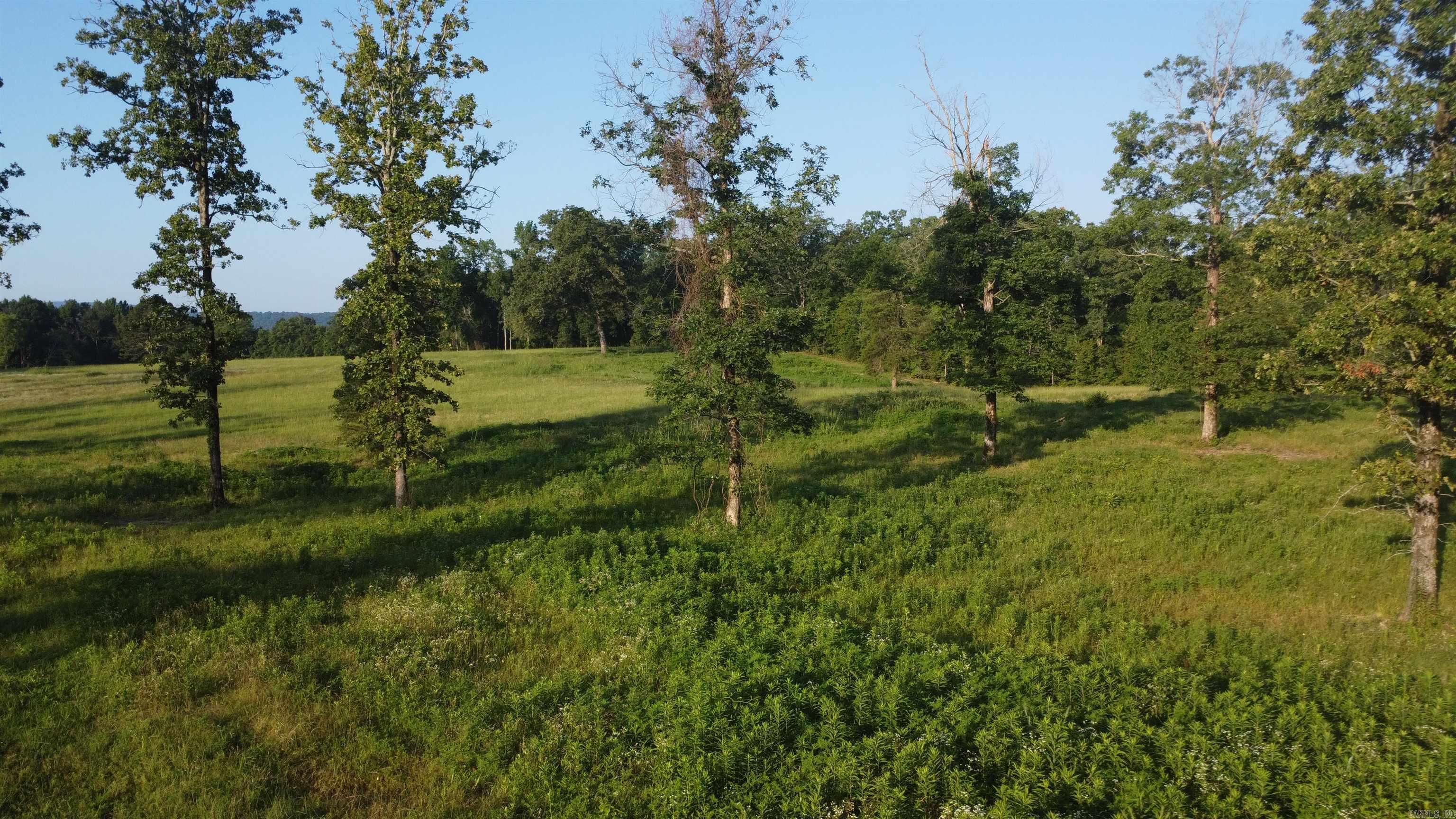 Tract 08 Tbd Whittington Homestead Property Photo 23