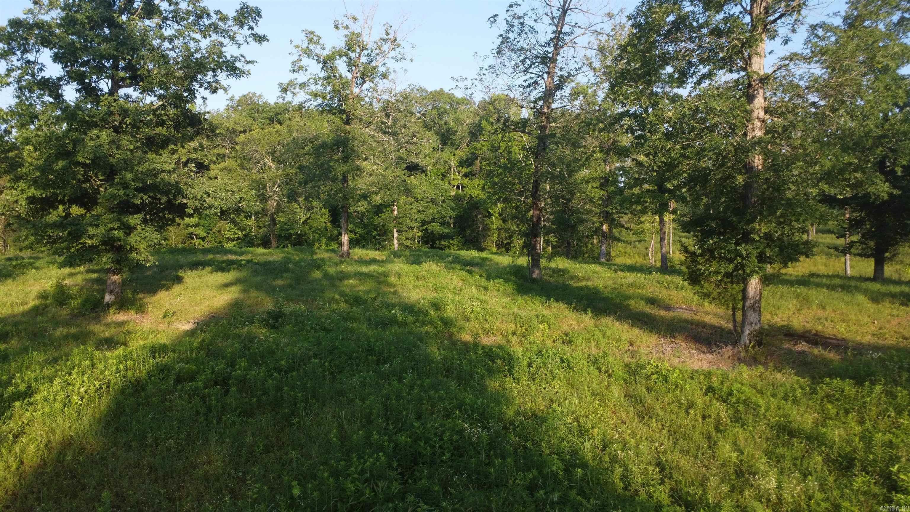 Tract 08 Tbd Whittington Homestead Property Photo 25