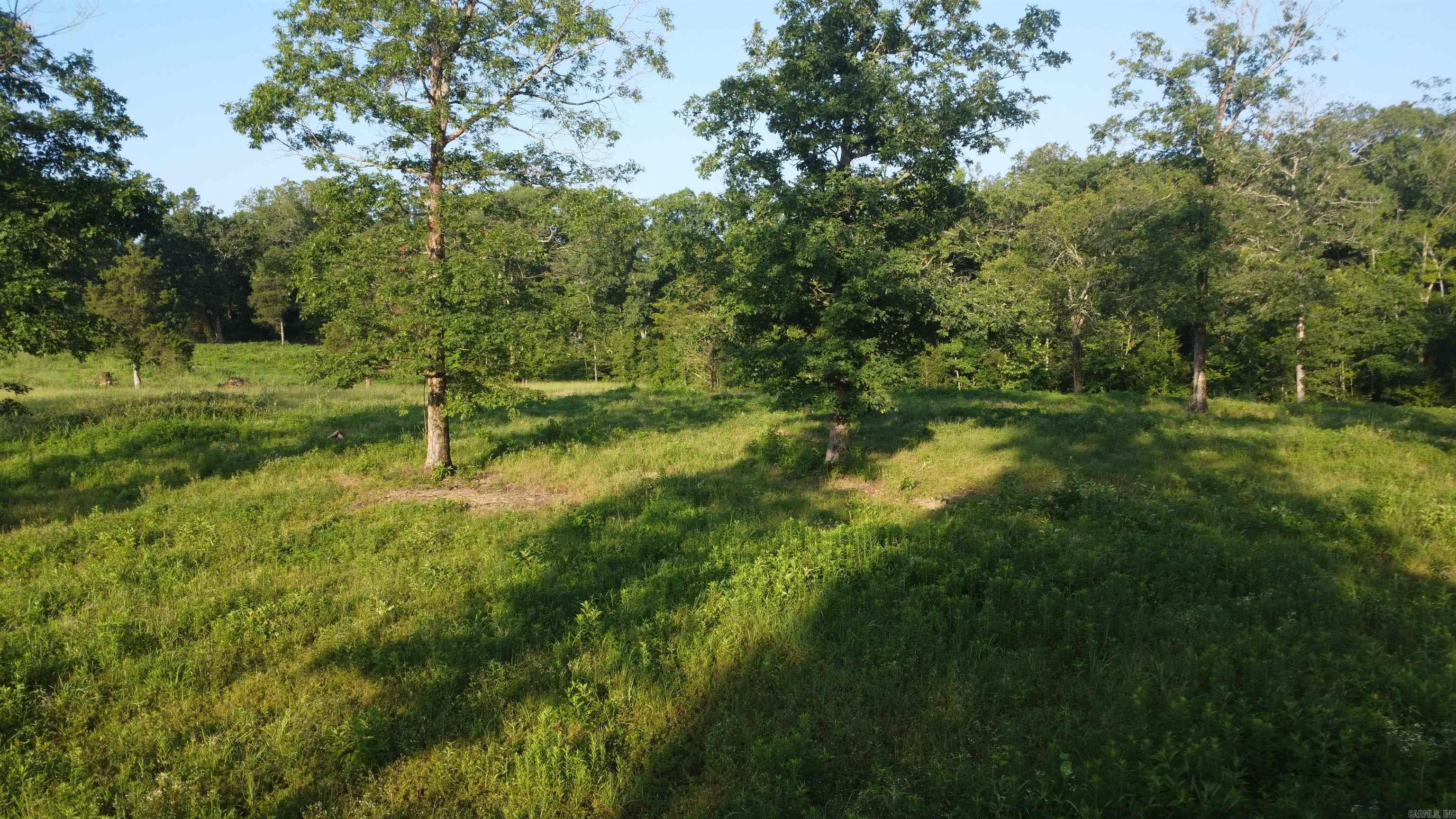 Tract 08 Tbd Whittington Homestead Property Photo 26