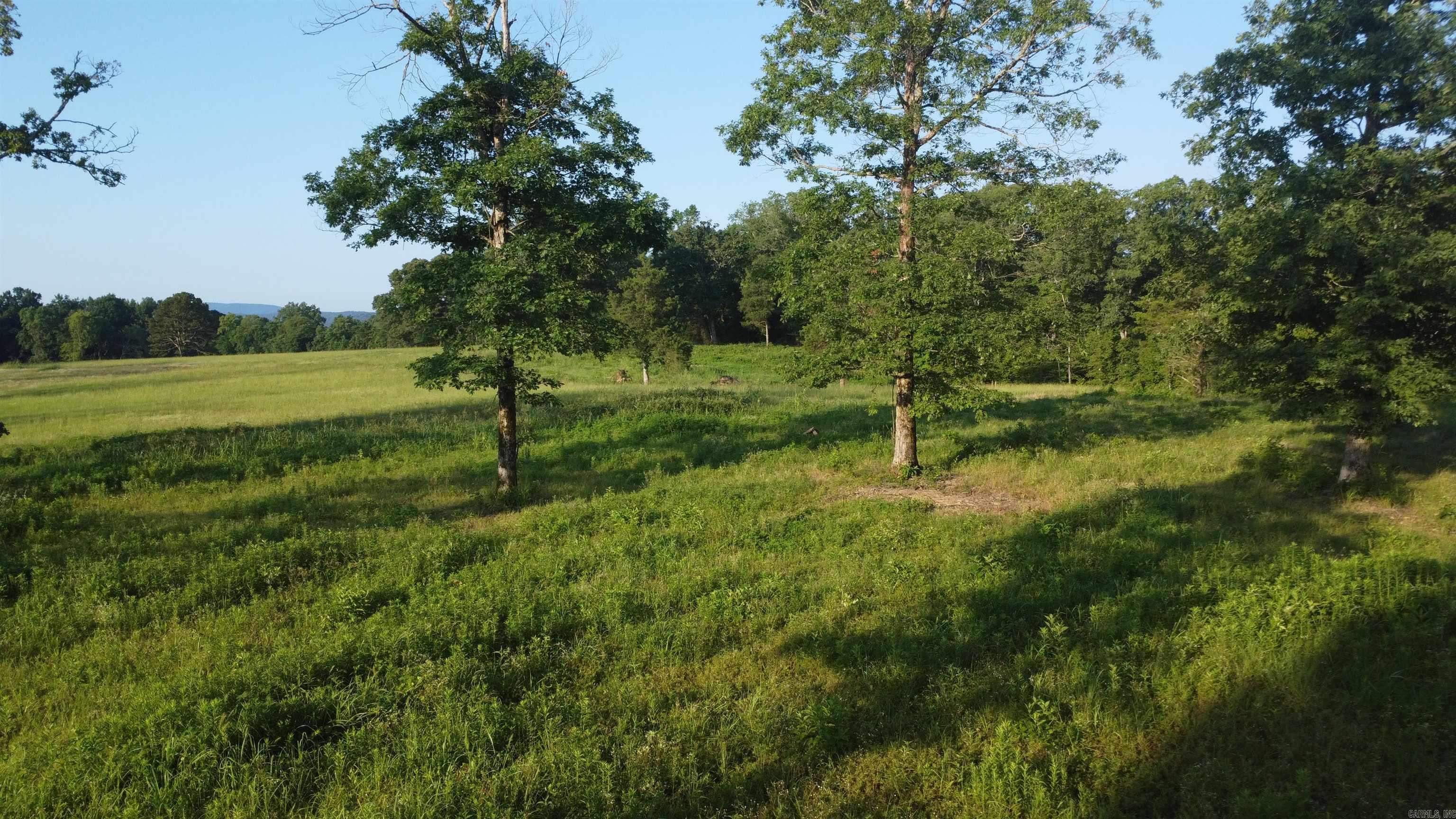 Tract 08 Tbd Whittington Homestead Property Photo 27